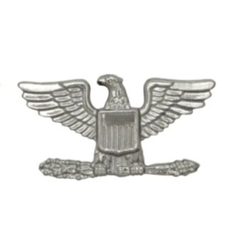 Screenshot_2022-07-28+U+S+Army+Colonel+%28COL%29+Pin-On+Ranks.jpg