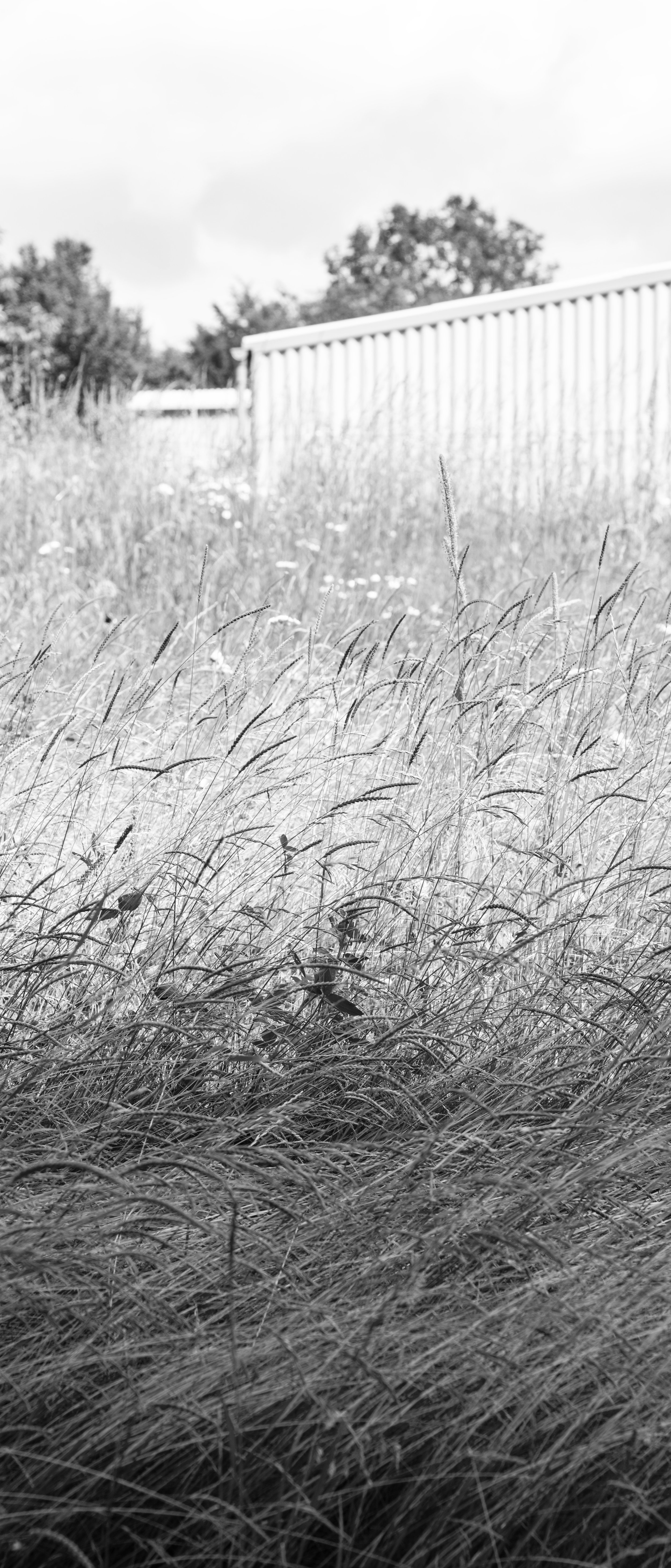 DSC06270 kopie 2.jpg