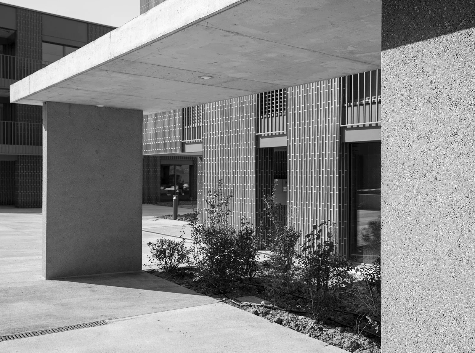 BW DSC06484 kopie 2.jpg