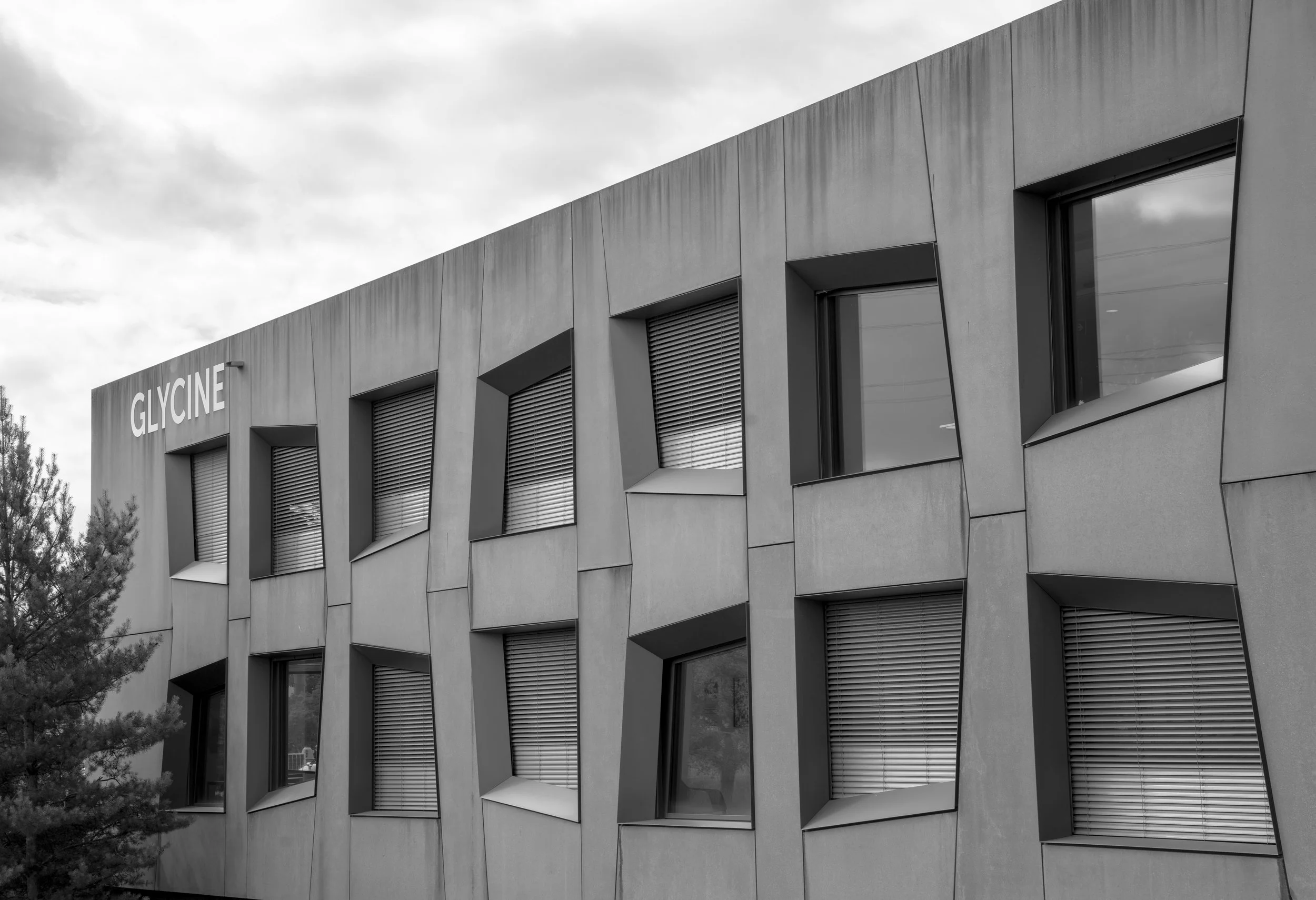 DSC06173 kopie 2.jpg