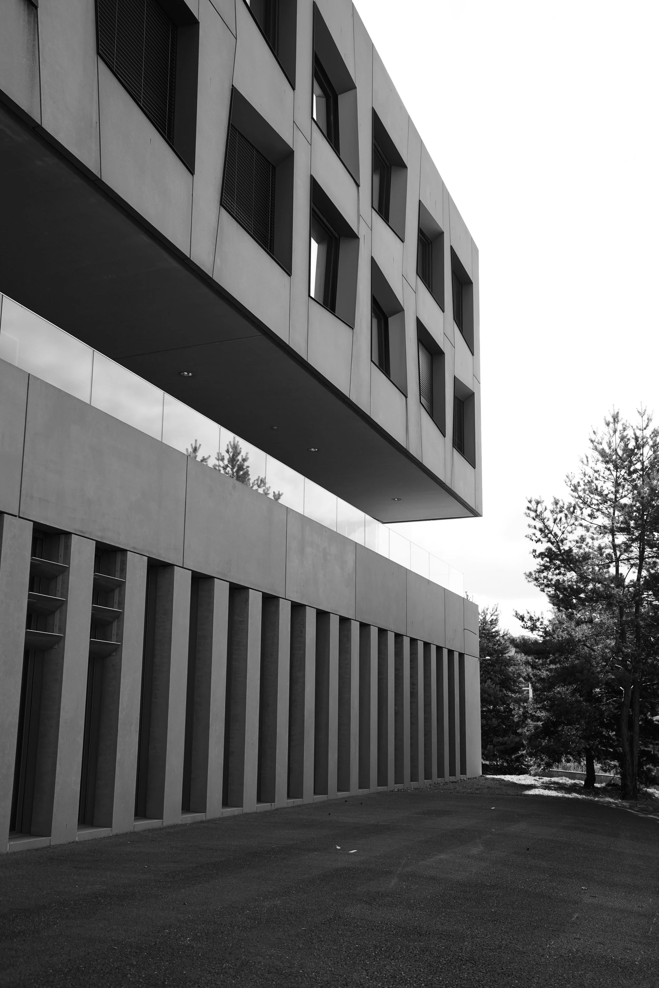 DSC06231 kopie 2.jpg