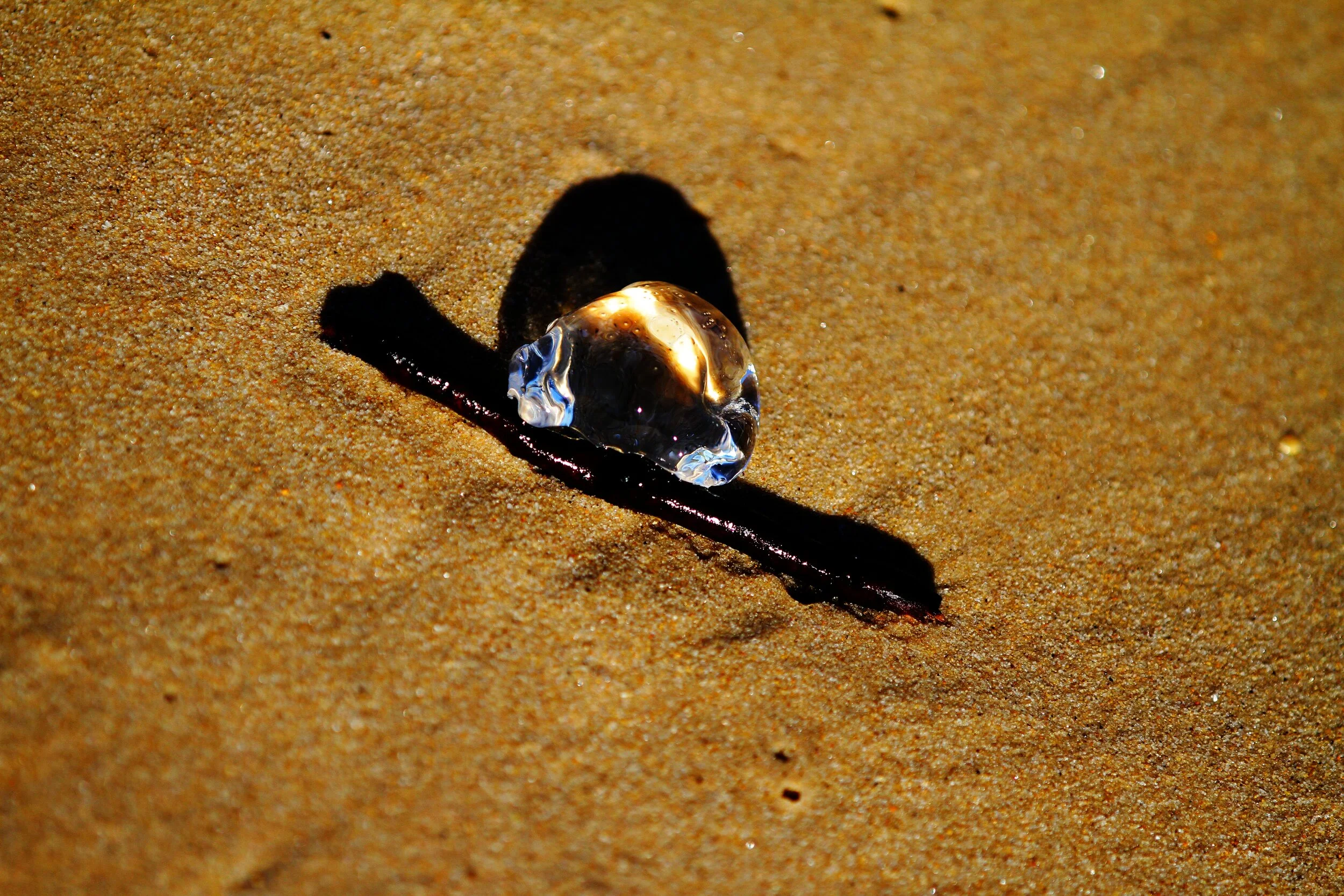 Clear ice crystal on sand casting a shadow in sunlight.