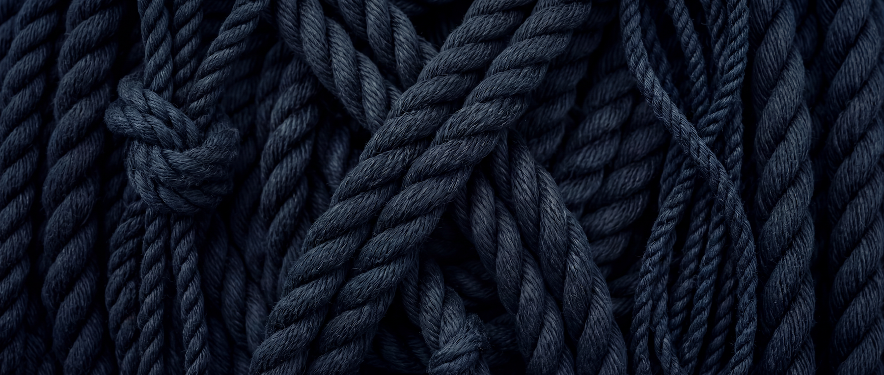 editotia33 Web Lead 1.png