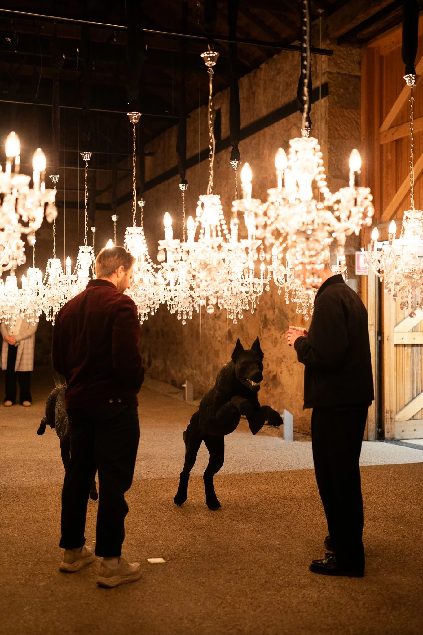 Nina Hamilton-Tasmanian Photographer-Rosny Farm-Dark Mofo-The Dogs-80.jpg