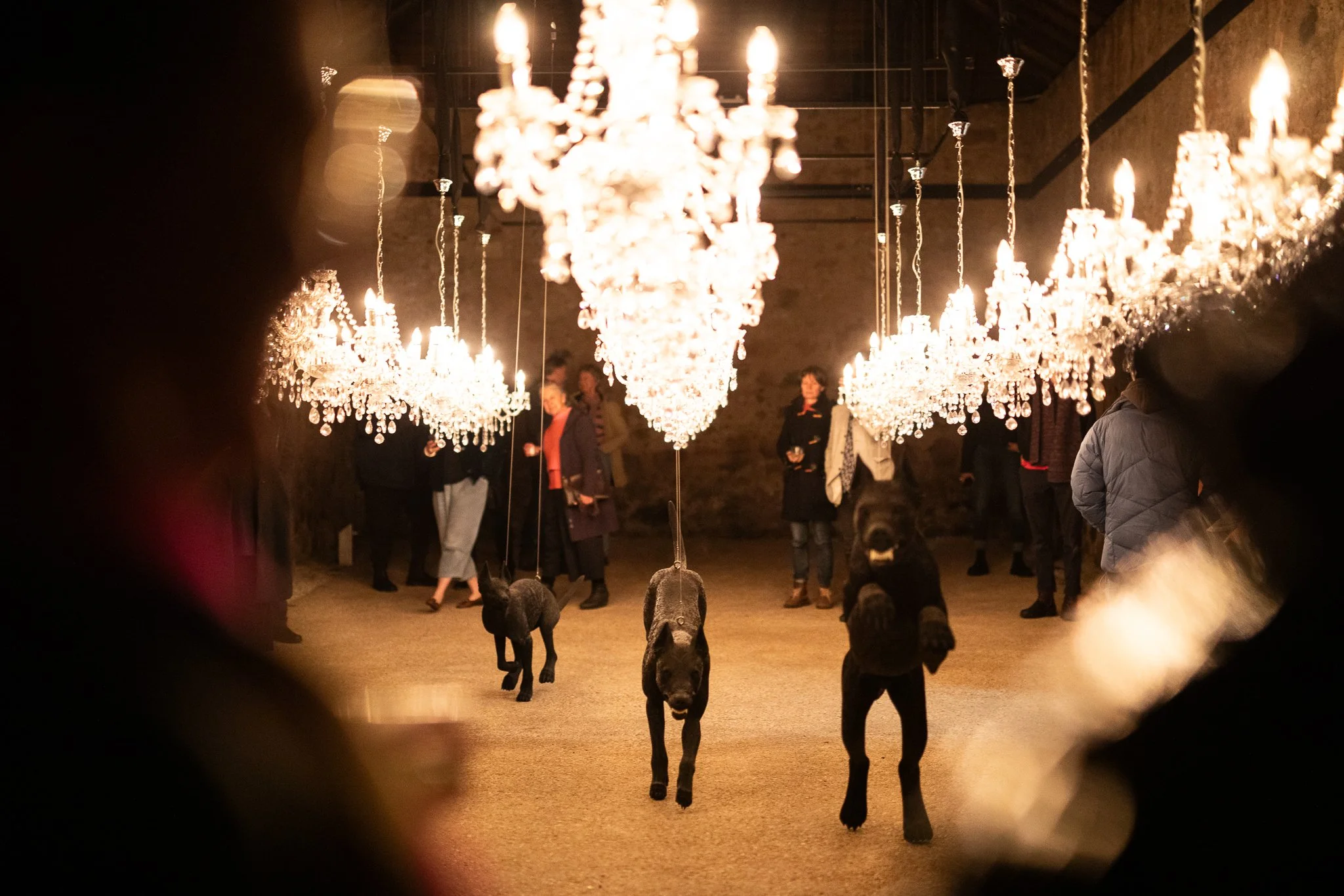 Nina Hamilton-Tasmanian Photographer-Rosny Farm-Dark Mofo-The Dogs-37.jpg