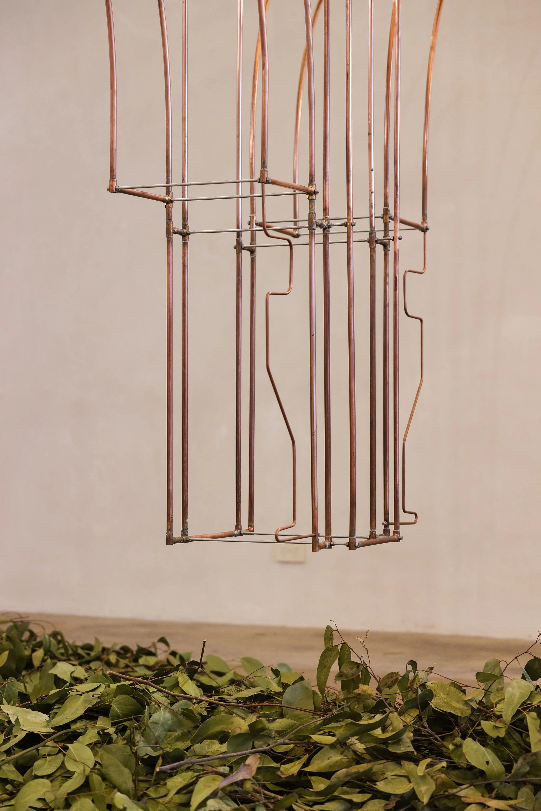 NinaHamilton-TasmanianEventPhotographer-UnsettlingQueenstown-CollaborativePathwaysPanelDiscussion-310824-5.jpg
