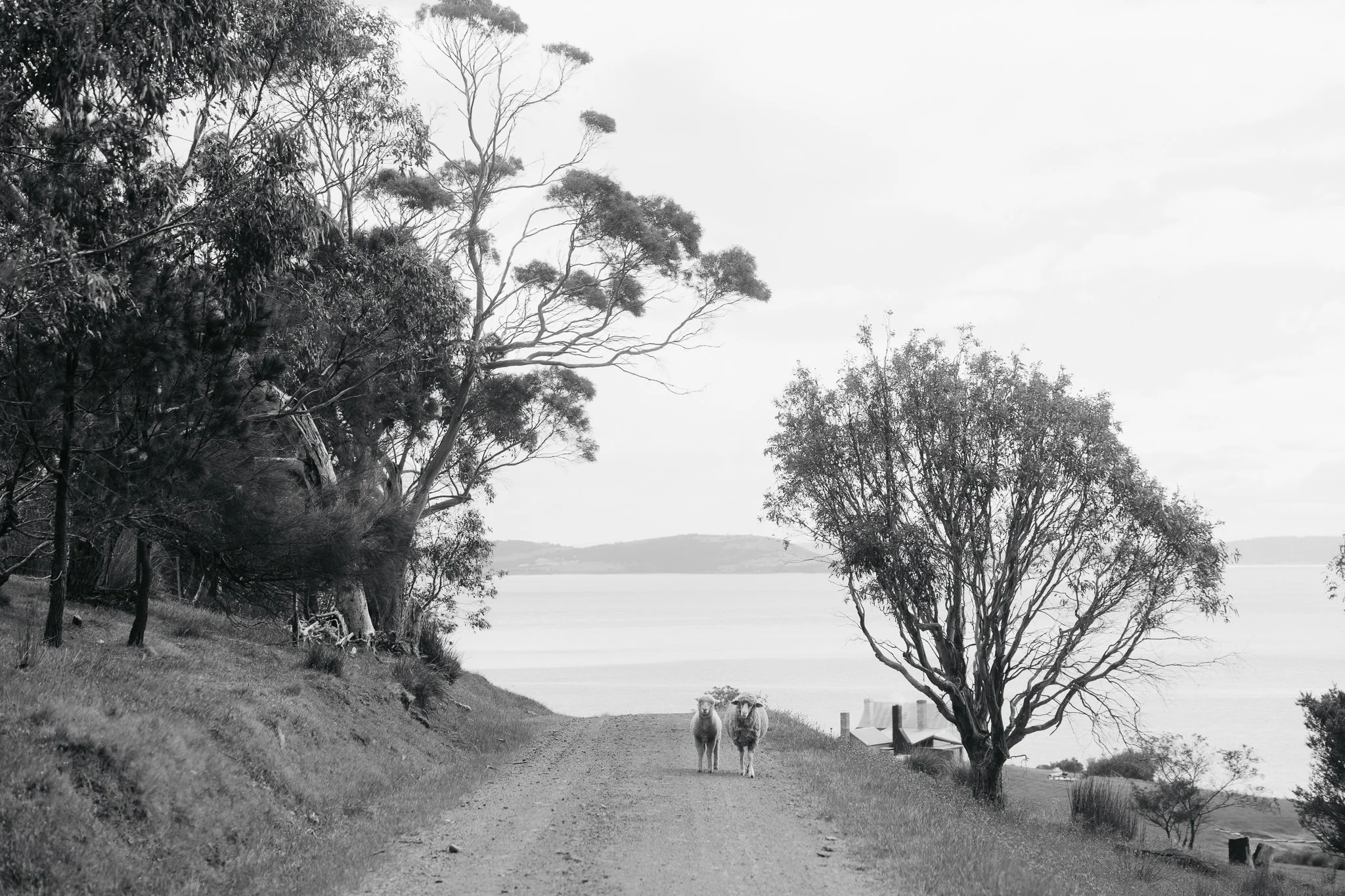 Nina Hamilton-Tasmanian Photographer-Open House Hobart 2024-Sunday 10 Nov-Highlights-2.jpg