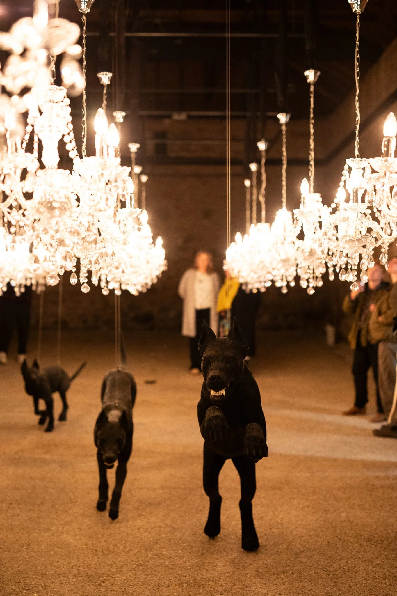 Nina Hamilton-Tasmanian Photographer-Rosny Farm-Dark Mofo-The Dogs-75.jpg