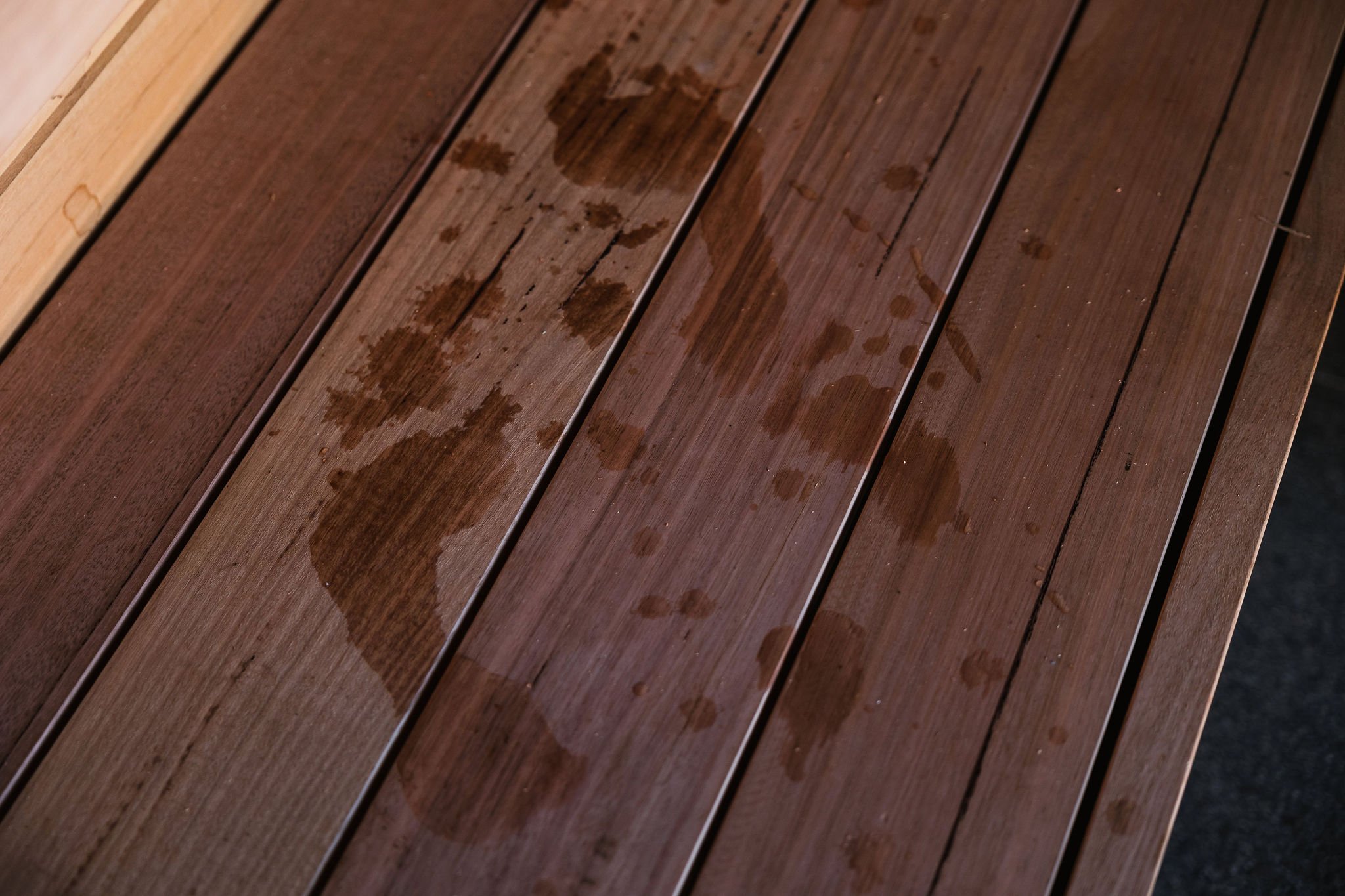NinaHamilton-TasmanianCommercialPhotographer-KuumaNatureSauna–Tasmania-85.jpg