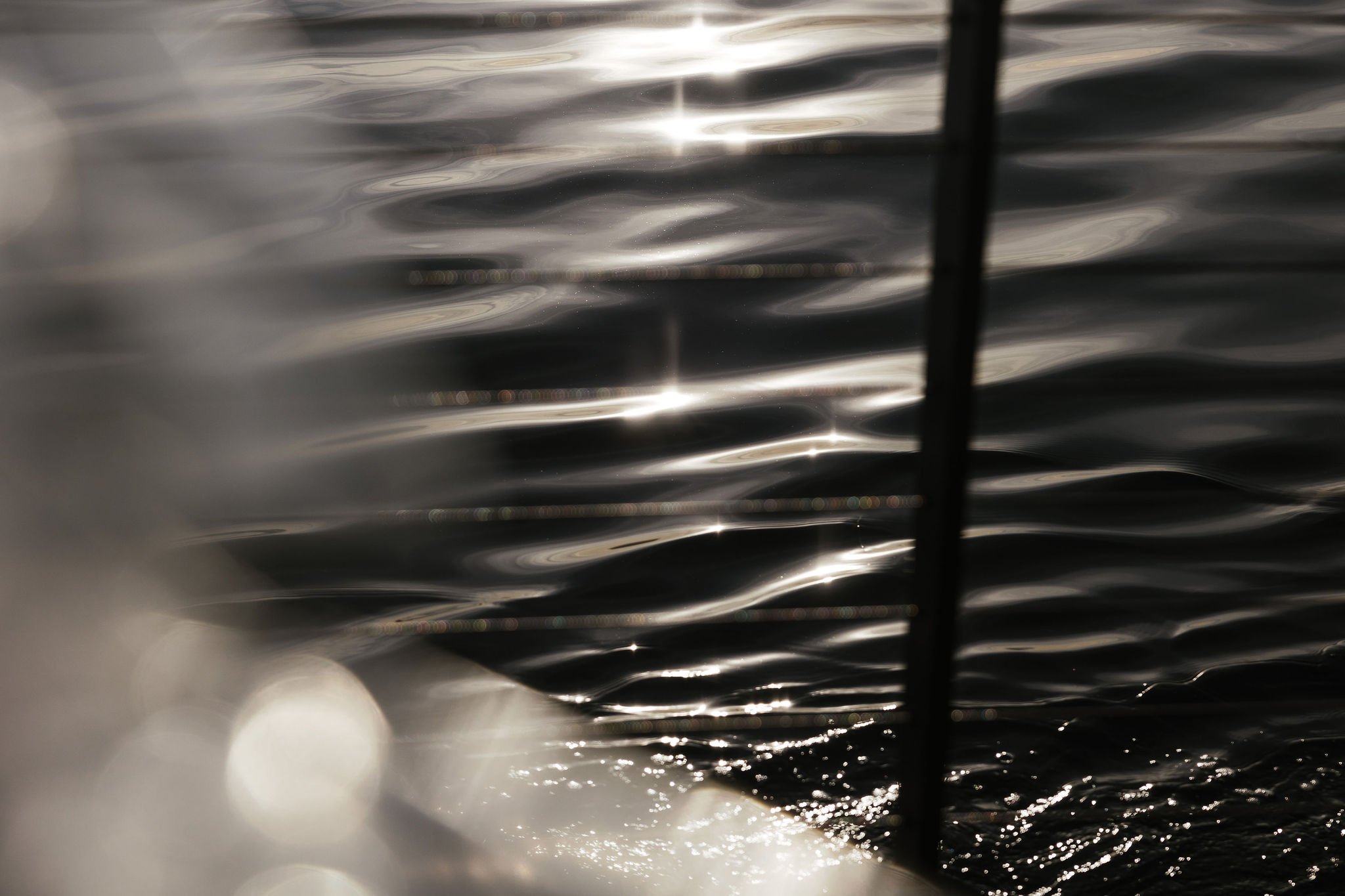 NinaHamilton-TasmanianCommercialPhotographer-KuumaNatureSauna–Tasmania-207.jpg