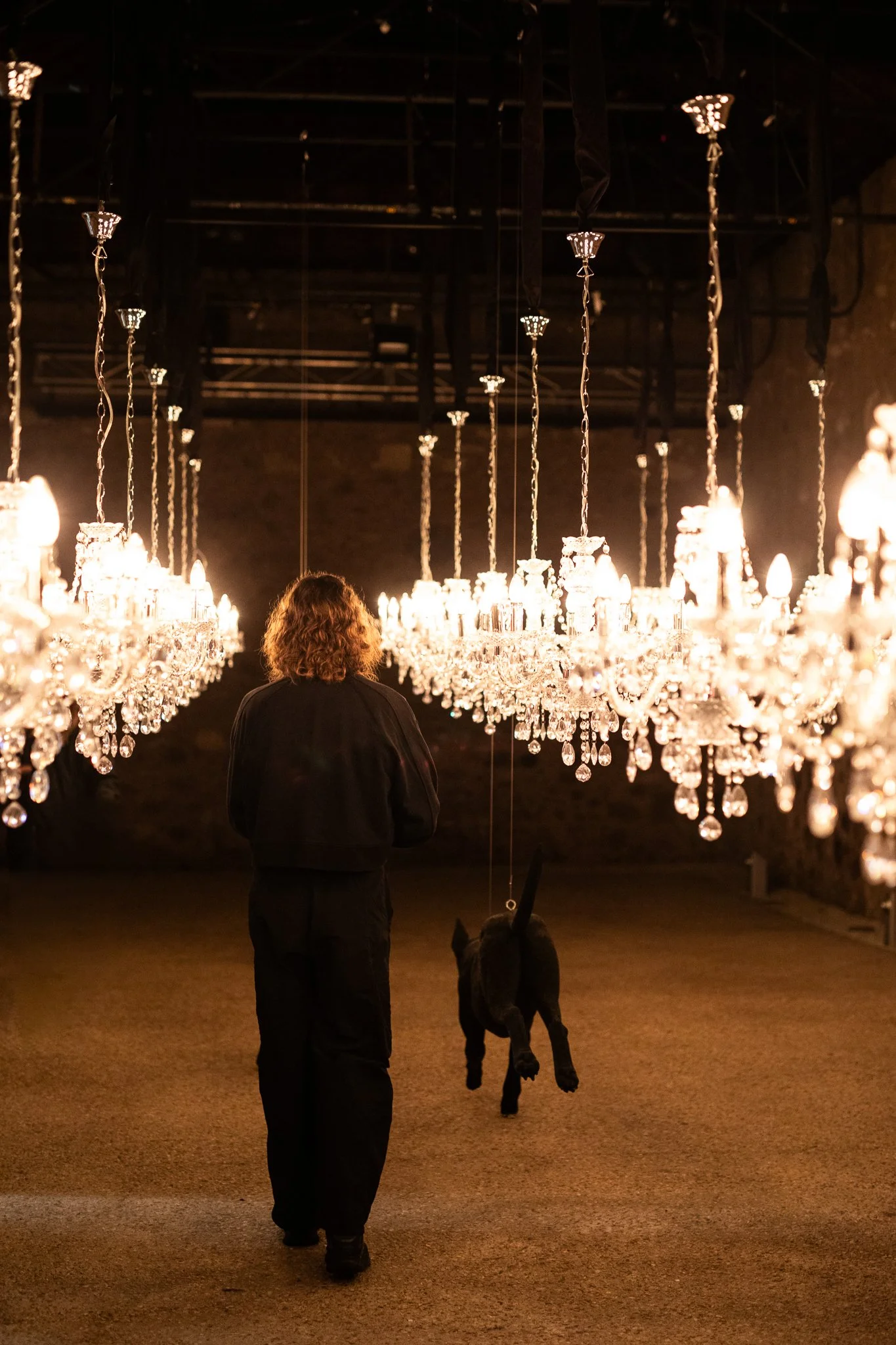 Nina Hamilton-Tasmanian Photographer-Rosny Farm-Dark Mofo-The Dogs-67.jpg
