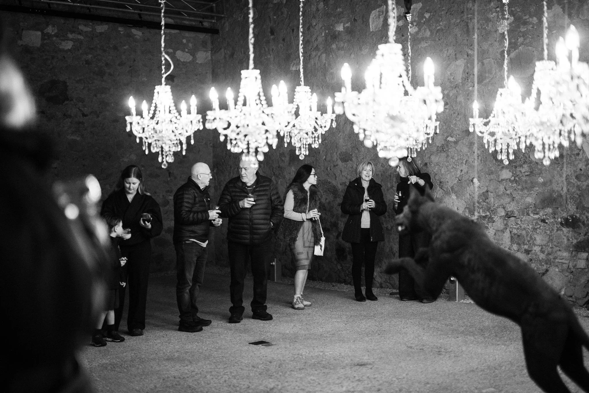 Nina Hamilton-Tasmanian Photographer-Rosny Farm-Dark Mofo-The Dogs-24.jpg