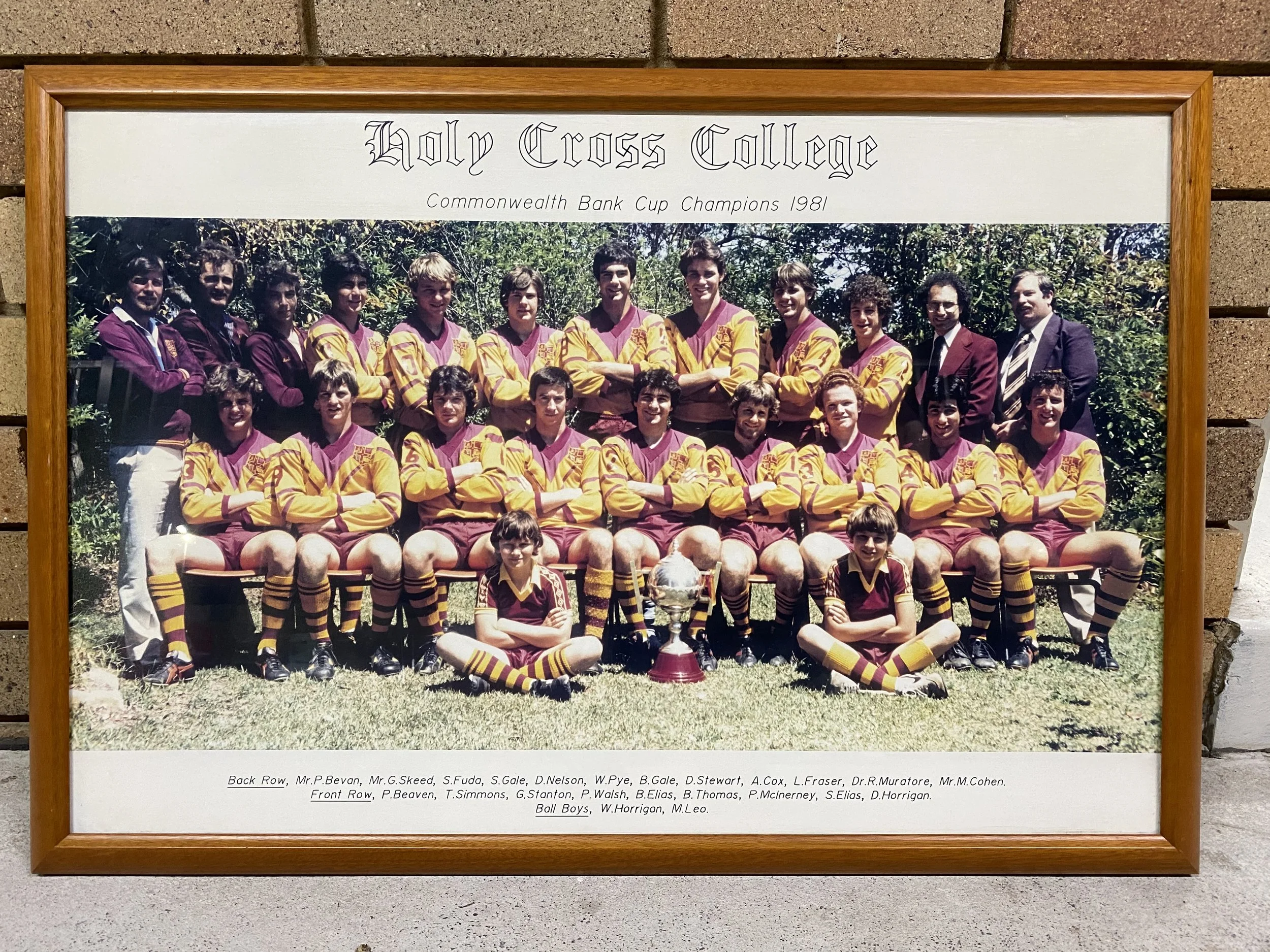 1981 Commonwealth Bank Cup Champions