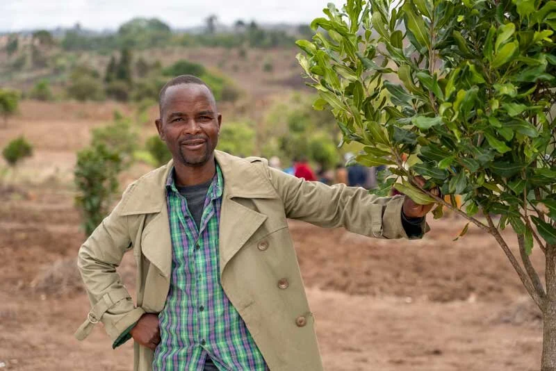 malawi-macadamia-feature-story-gallery-image1-800x534.jpg