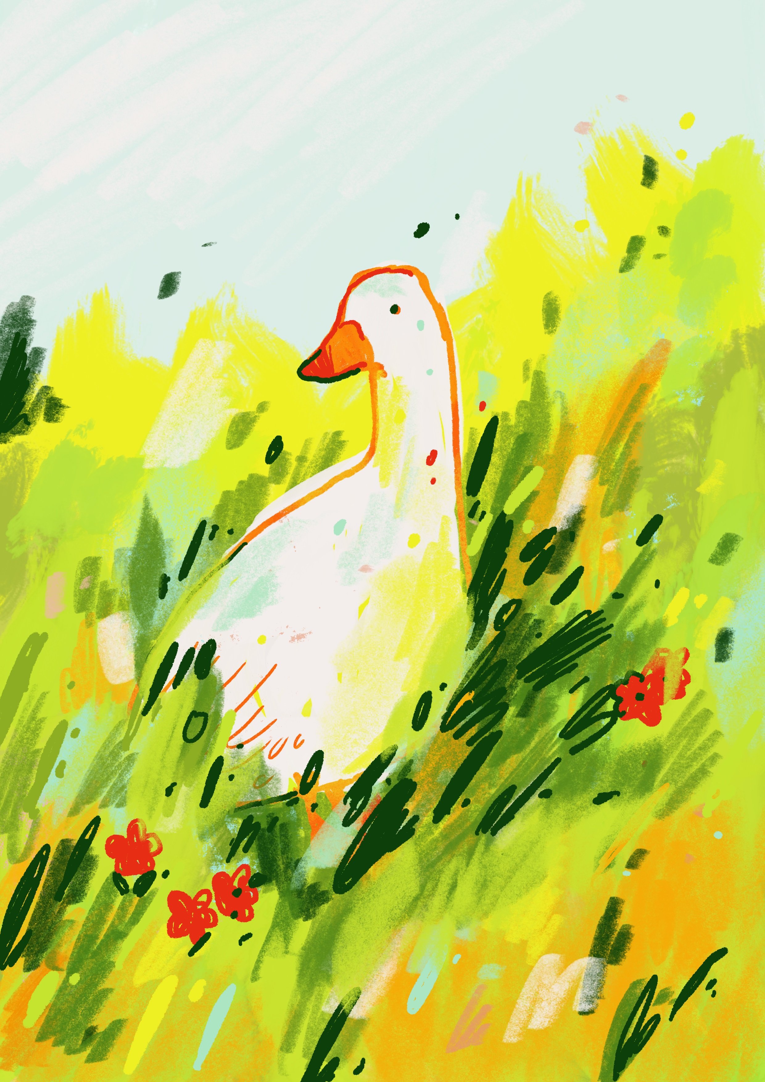 In the Tall Grass
