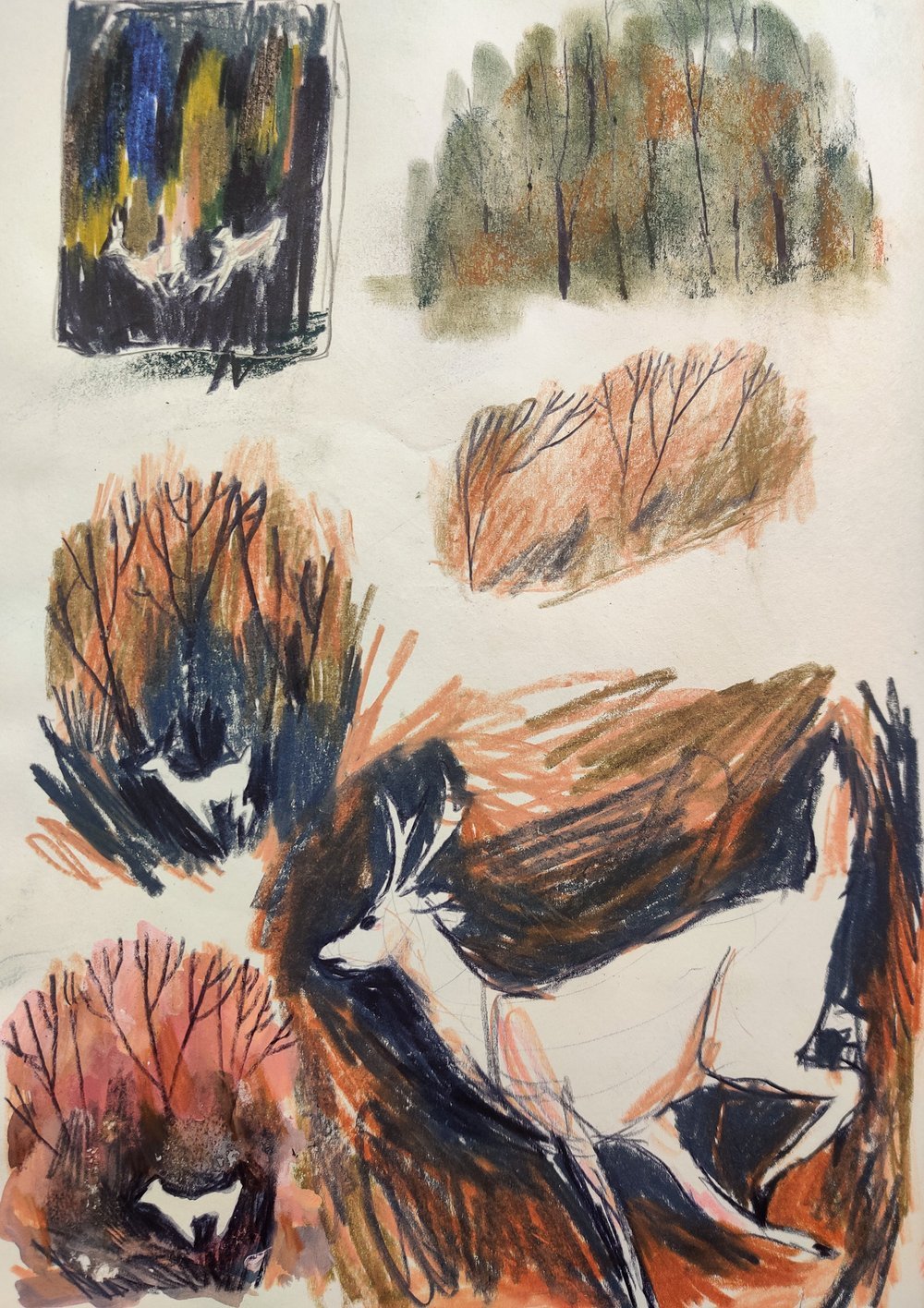 Sketch - Into the Woods