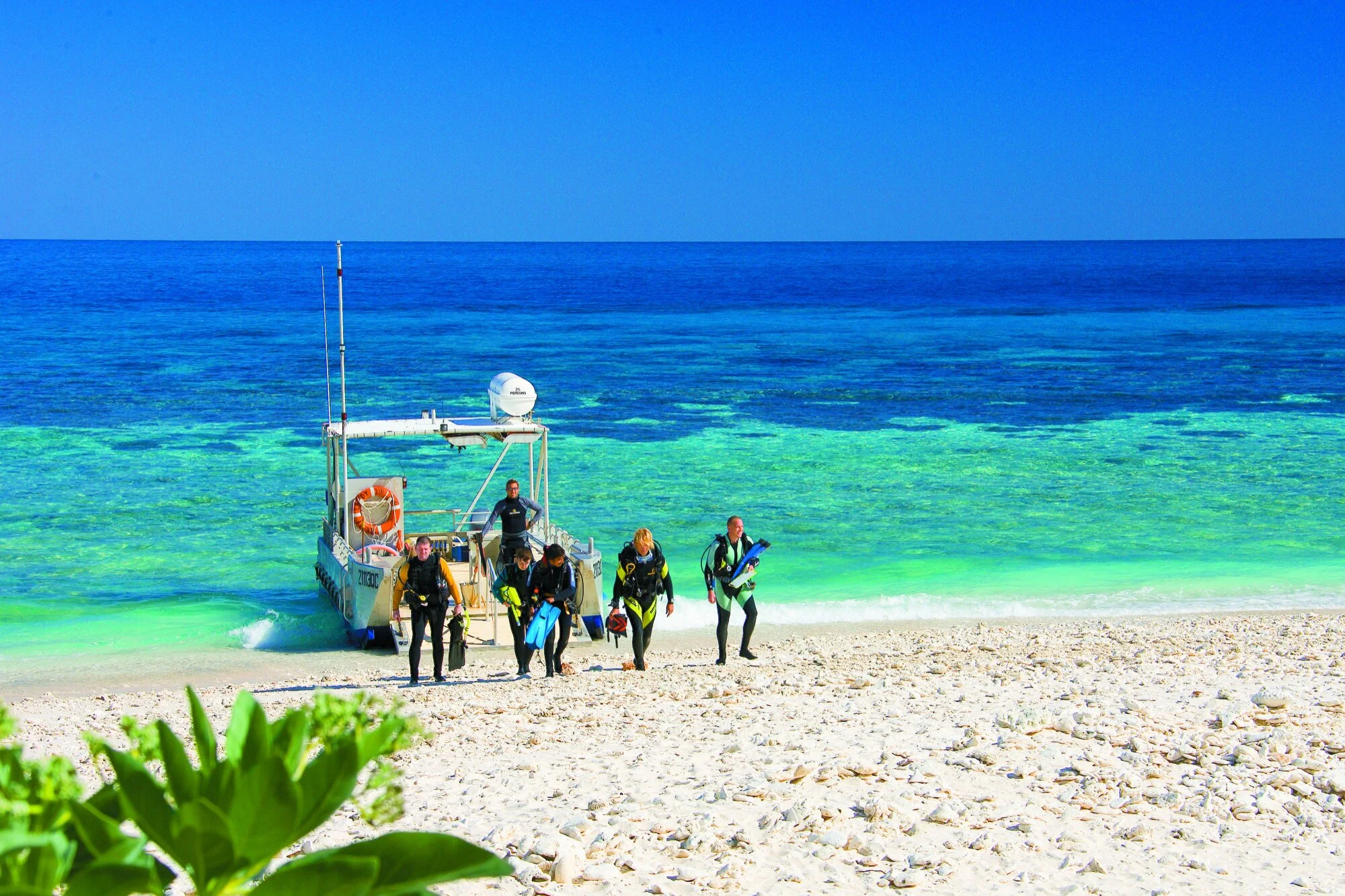 LEI_ScubaDivers.jpg