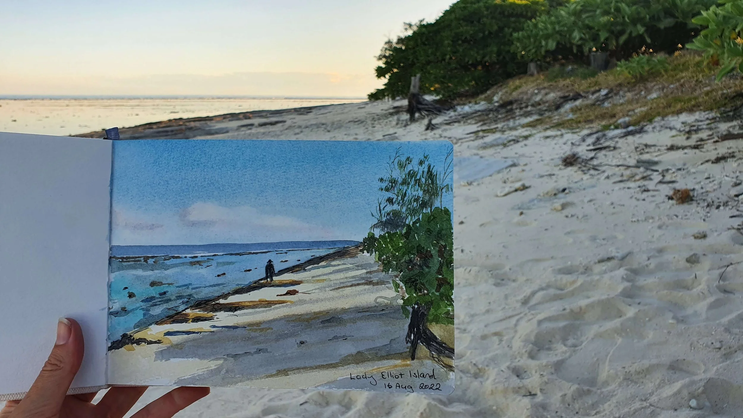 Lady Elliot Island Art Retreat with Nicola Newman 31.jpg