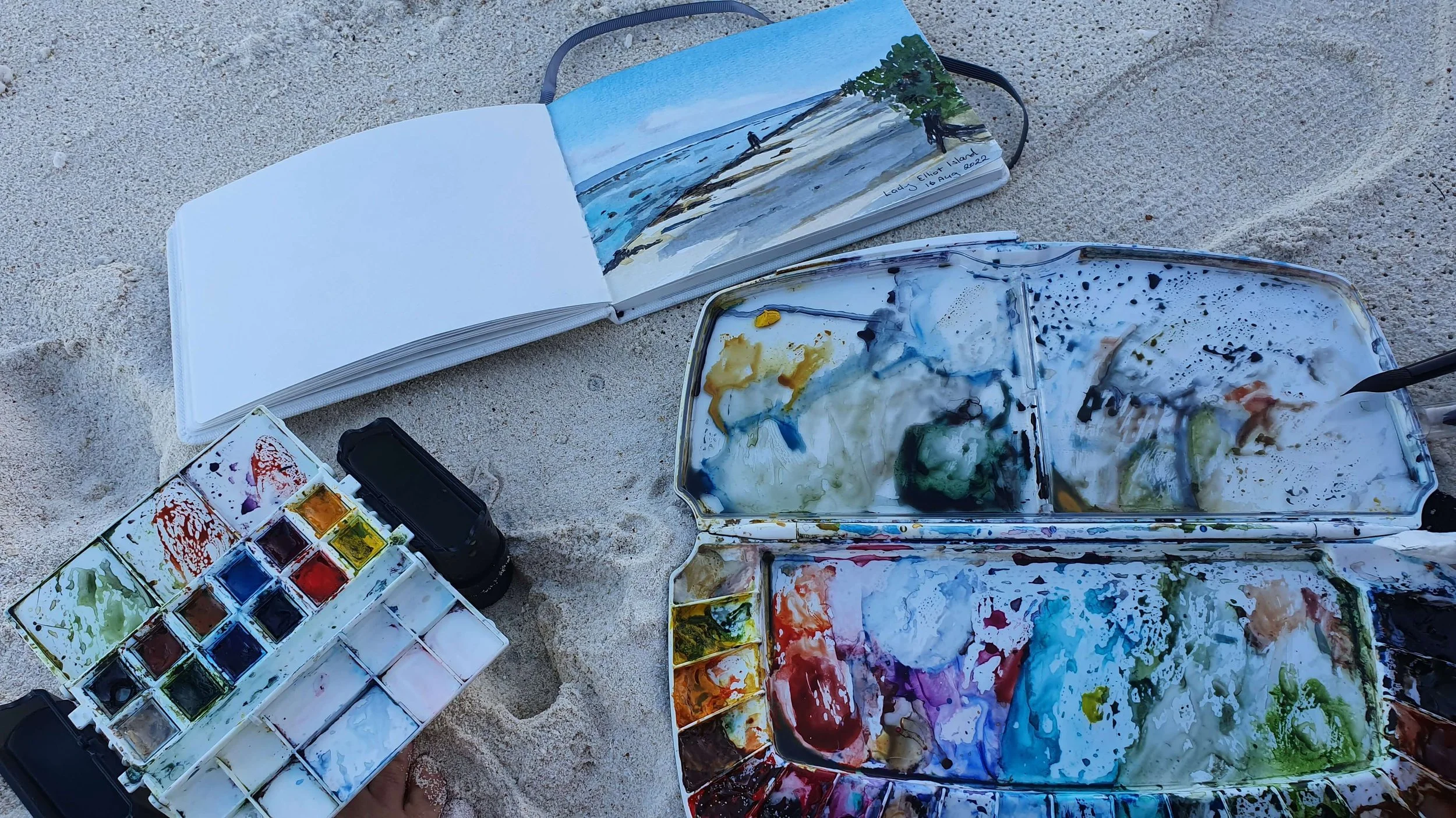 Lady Elliot Island Art Retreat with Nicola Newman 29.jpg