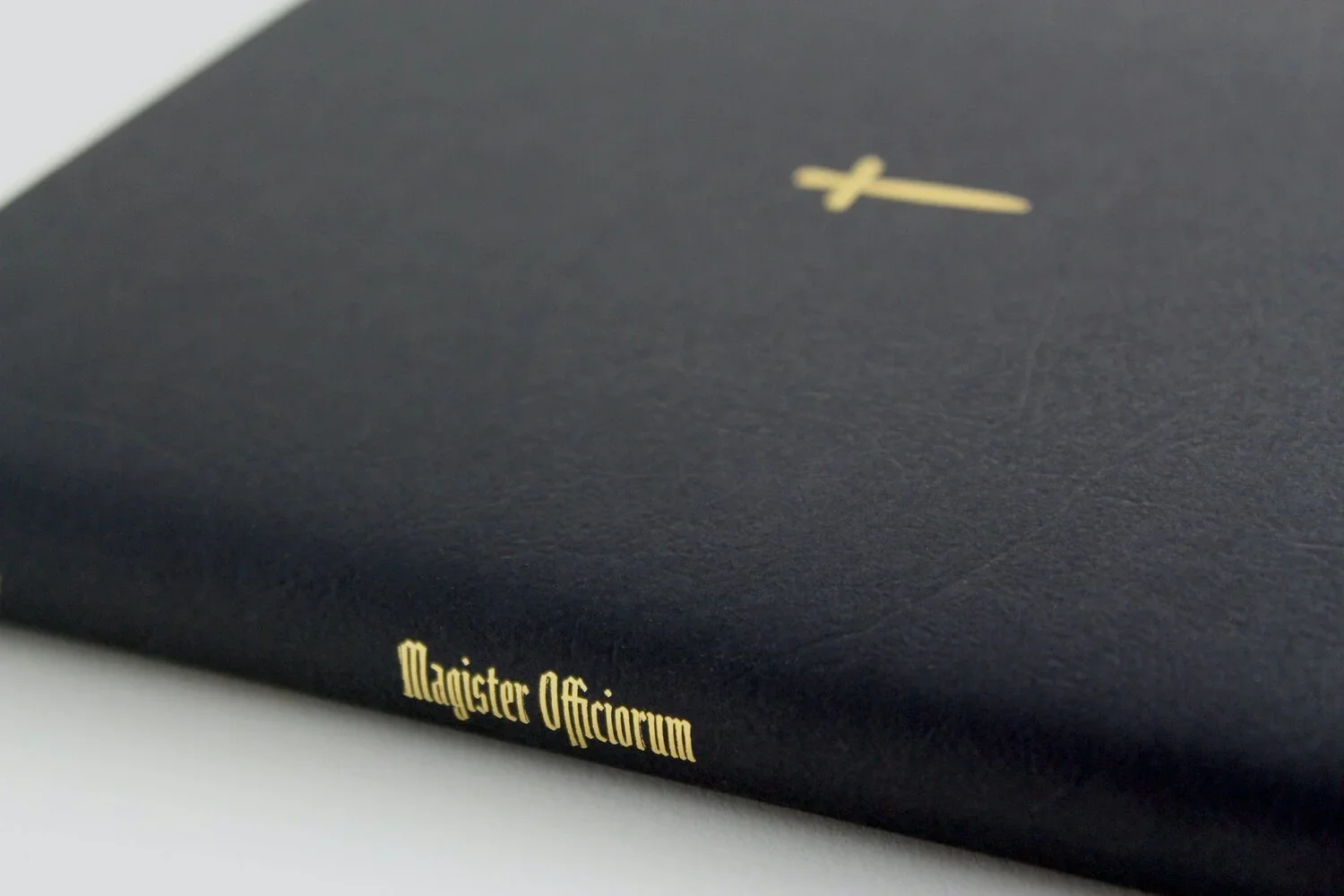 magister_detail.jpg.png