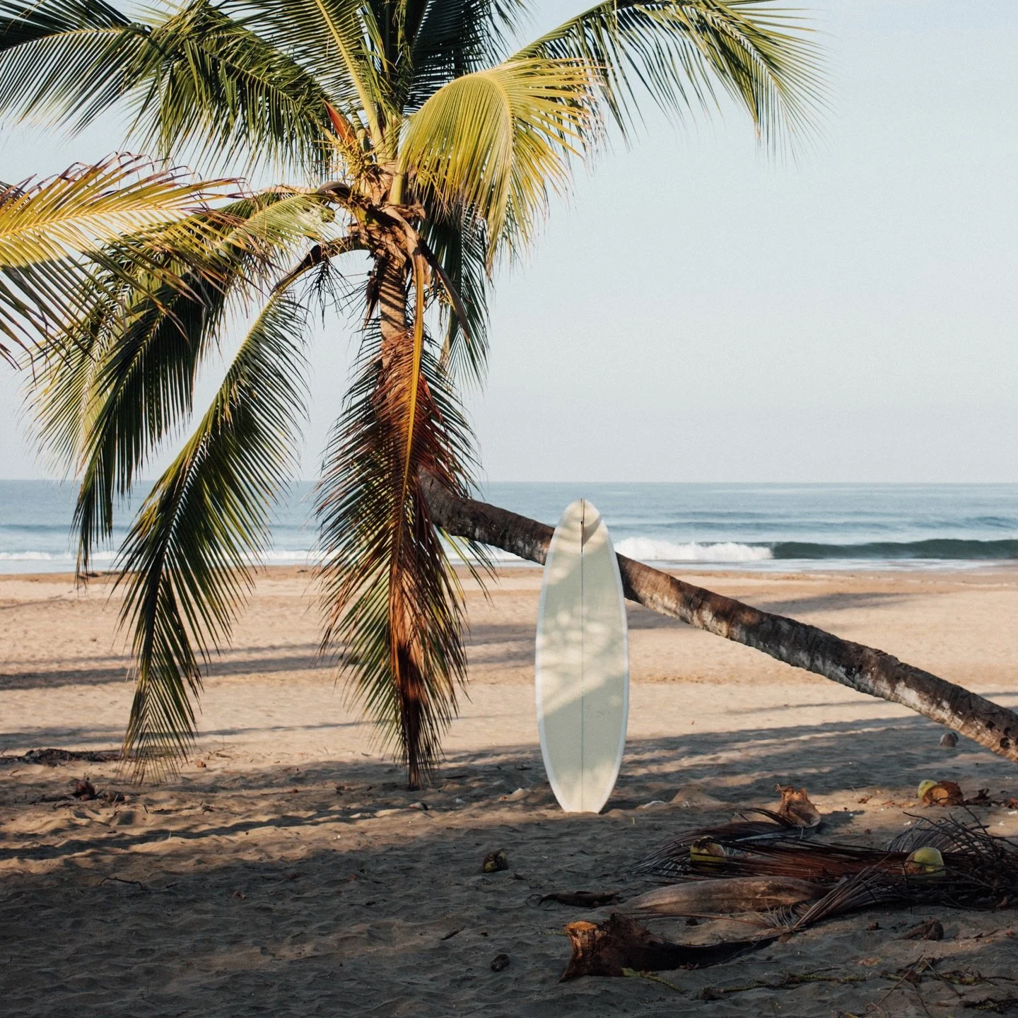 Model &ldquo;El Sol&rdquo; 7&rsquo;0 // massurfboards.com