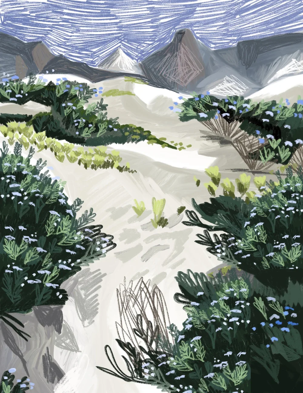 Untitled_Artwork+9.webp