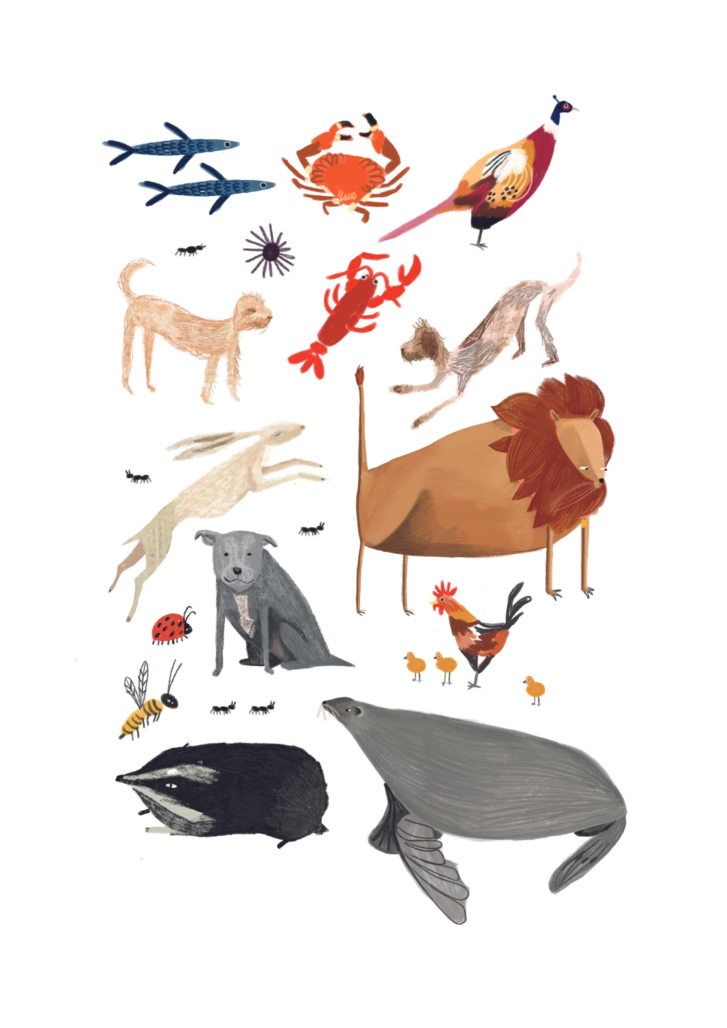 Animals A3.jpg