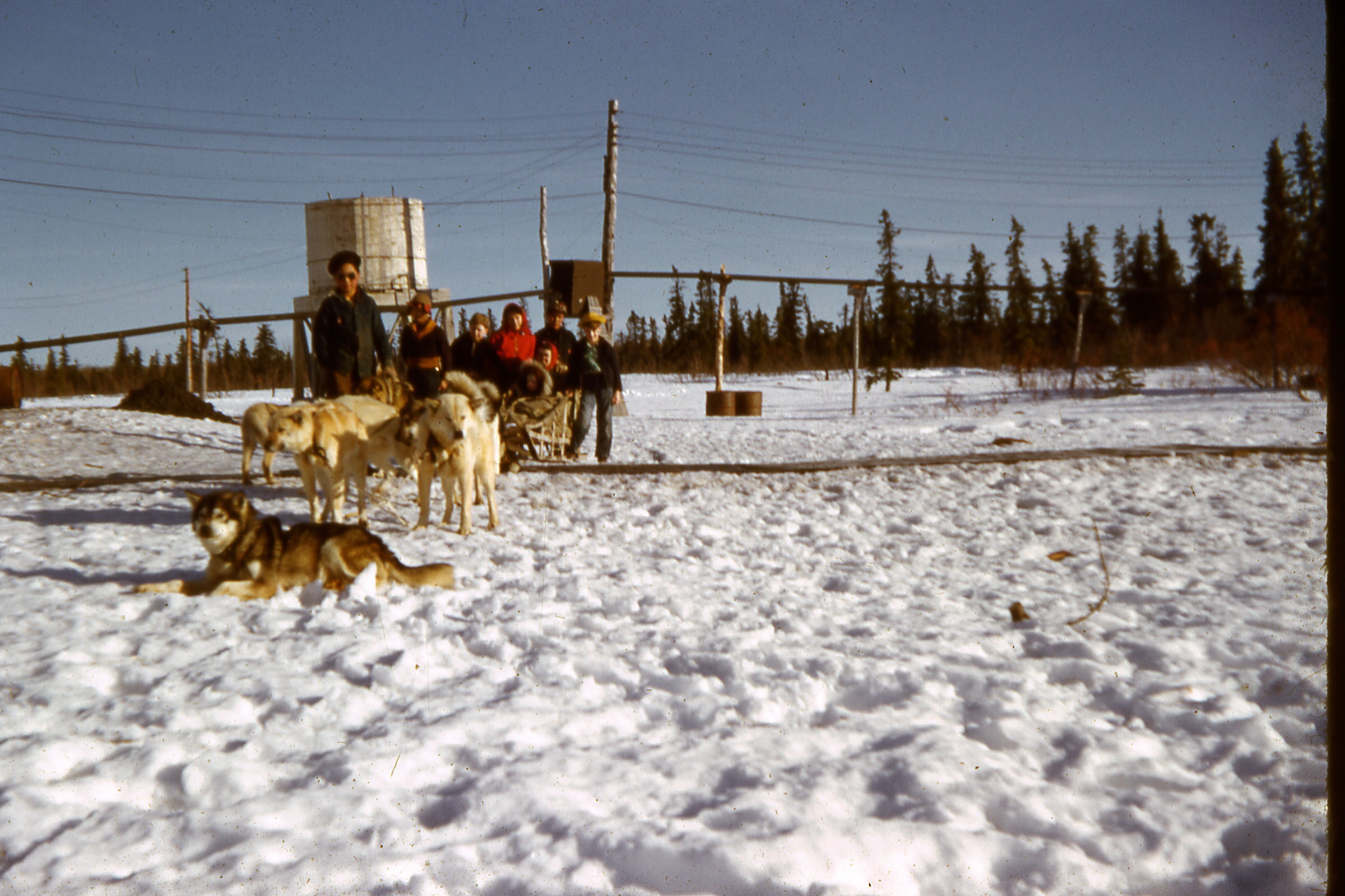 50s - Dog Team in front of water tank.jpg