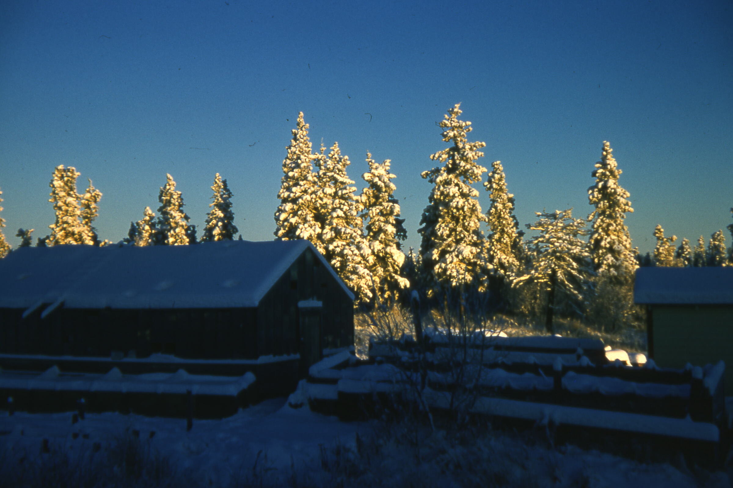 50s - Sun rise behind Greenhouse.jpg