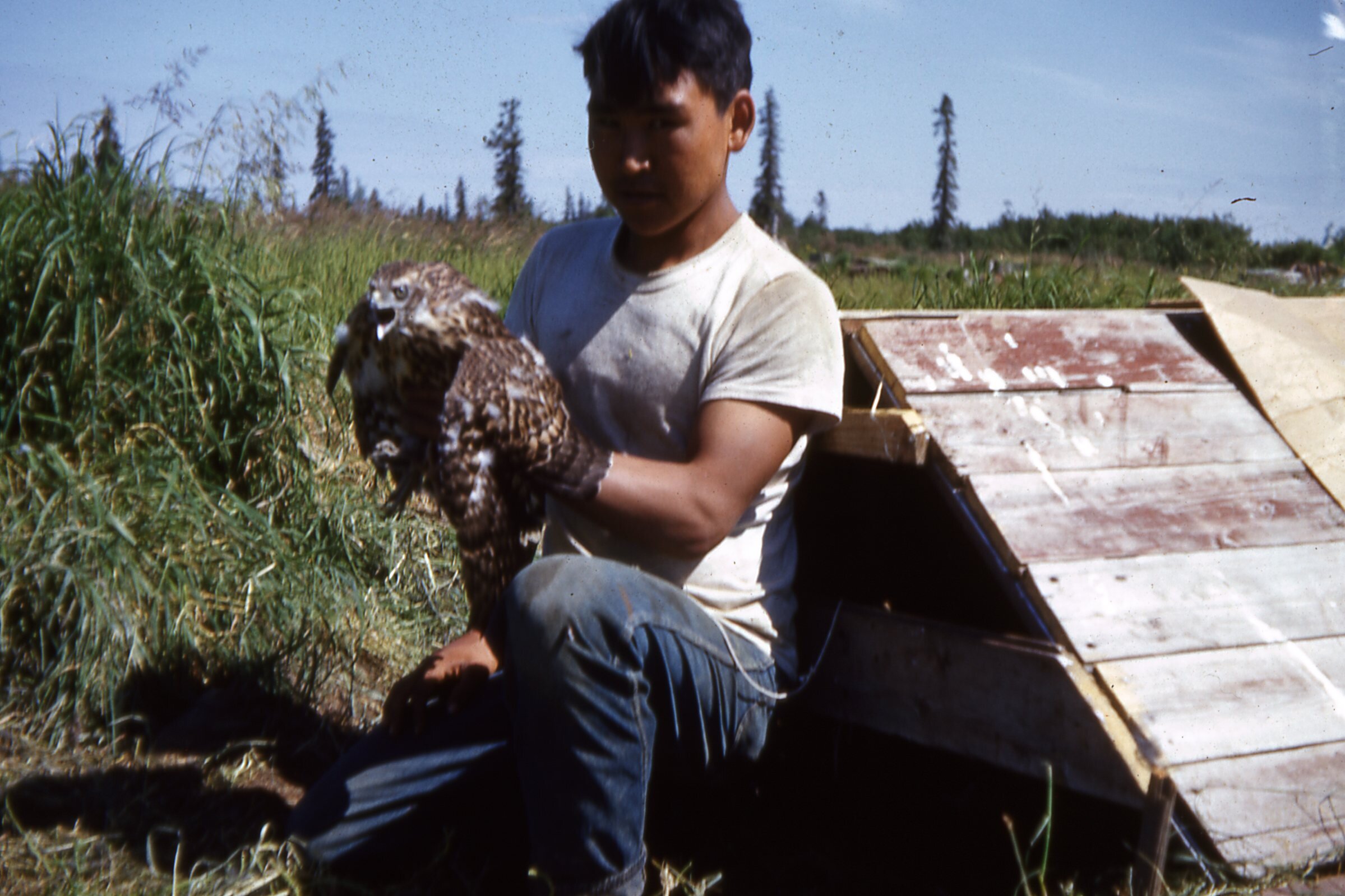 1952 Daniel Katonga and hawk.jpg