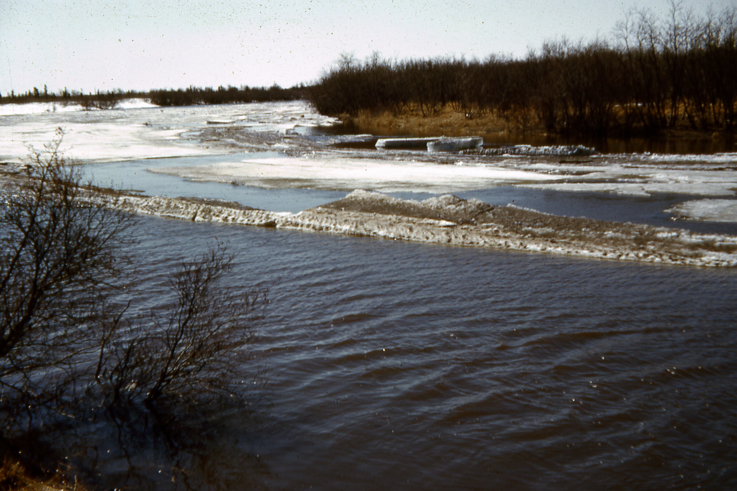  1955 Breakup ice. Photo on loan from the Henkelman Archives. 