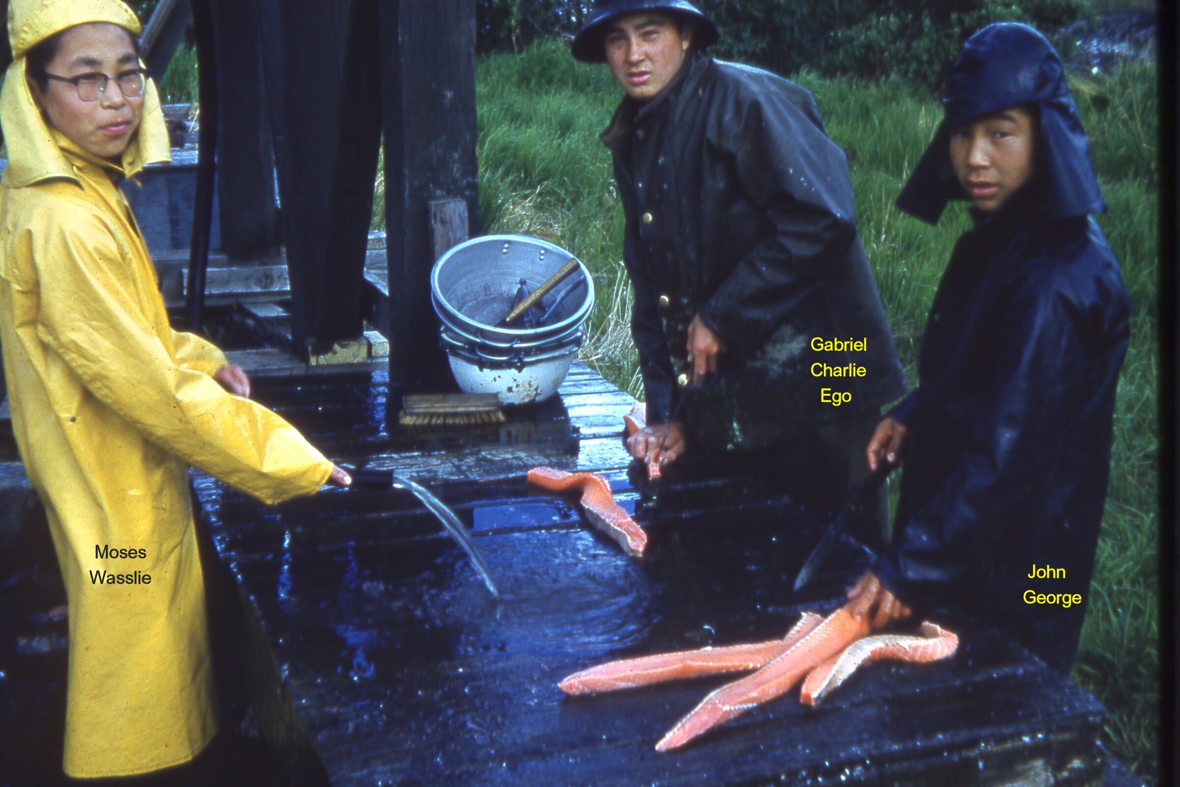 1960 Cutting Fish T.jpg