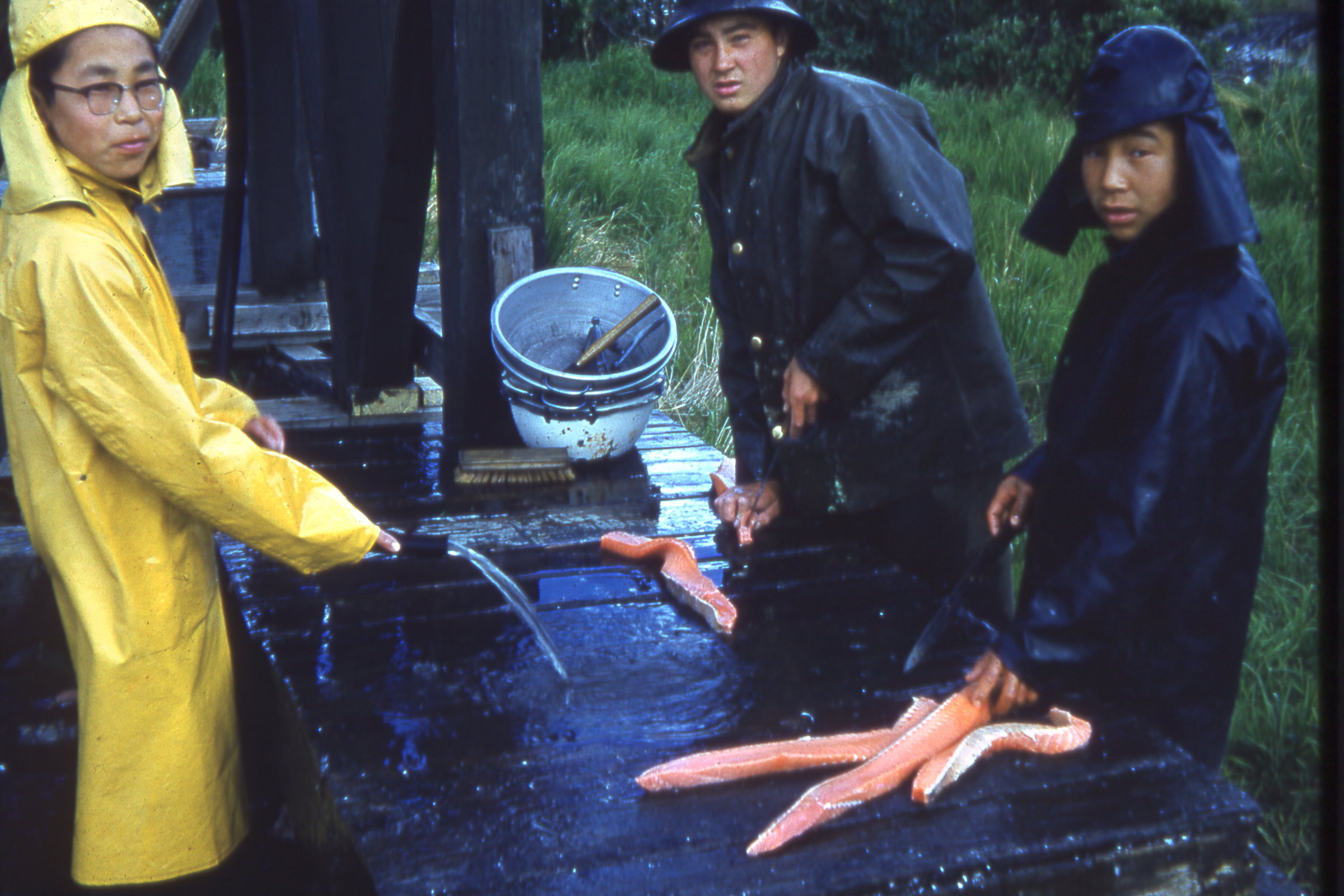 1960 Cutting Fish.jpg