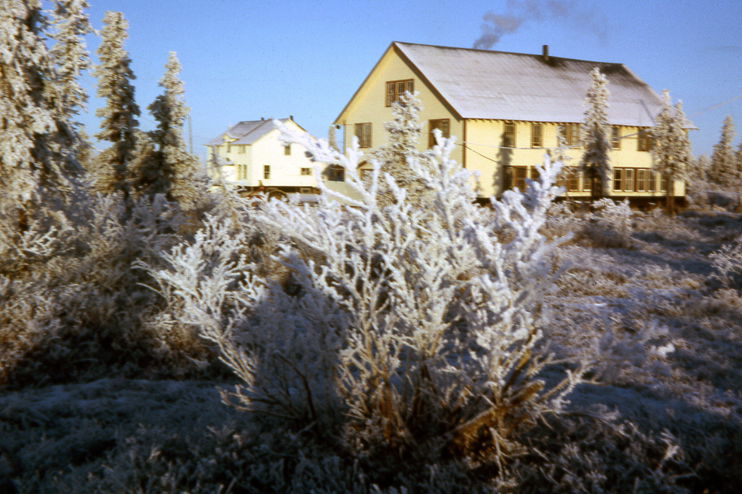 1962 Winter frost.jpg