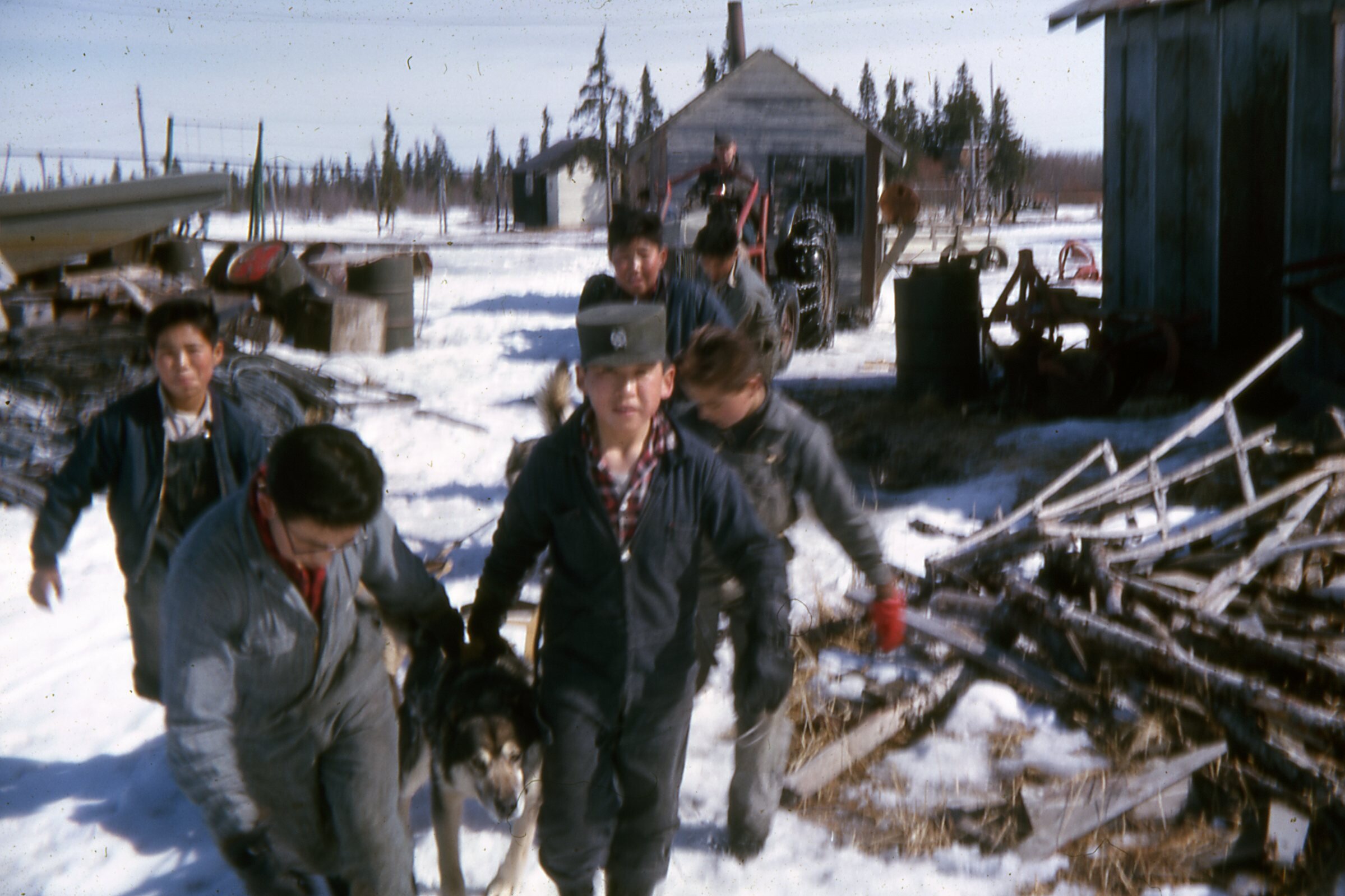 1963 Pulling tractor with dogs.jpg