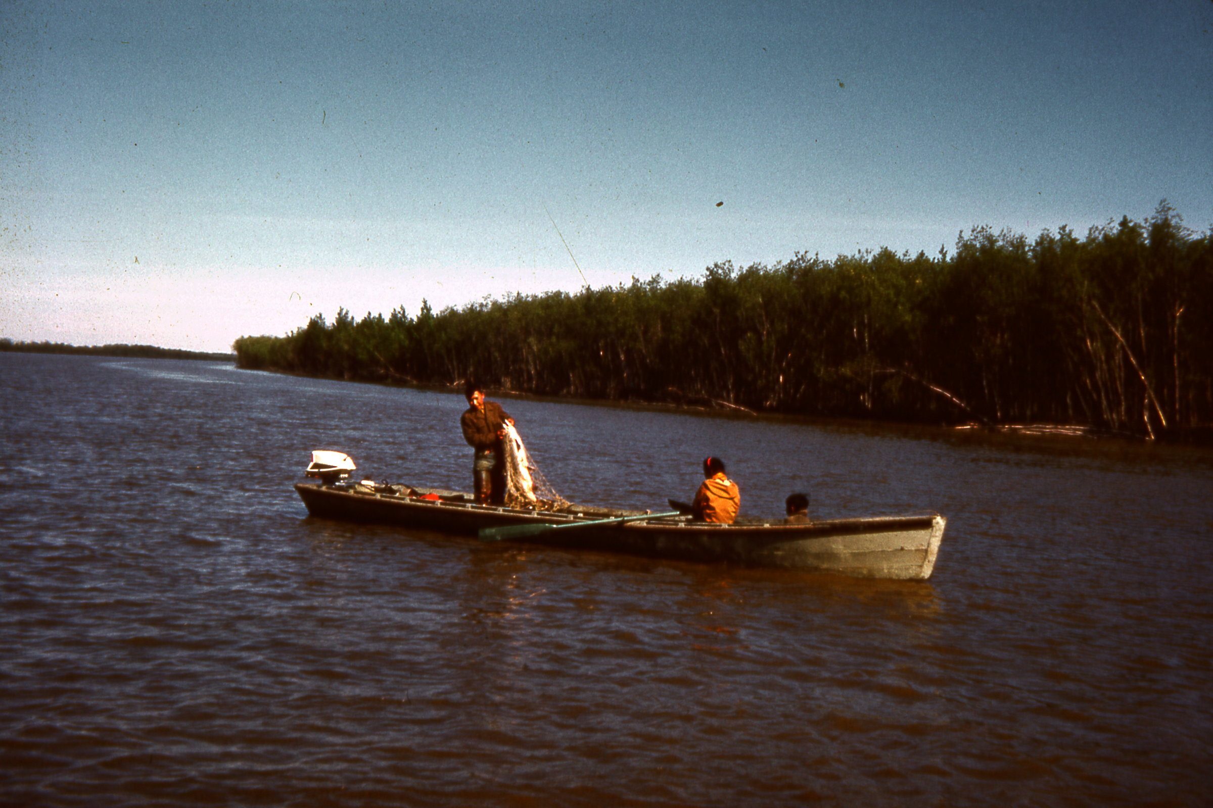 1964 Drifting for salmon.jpg