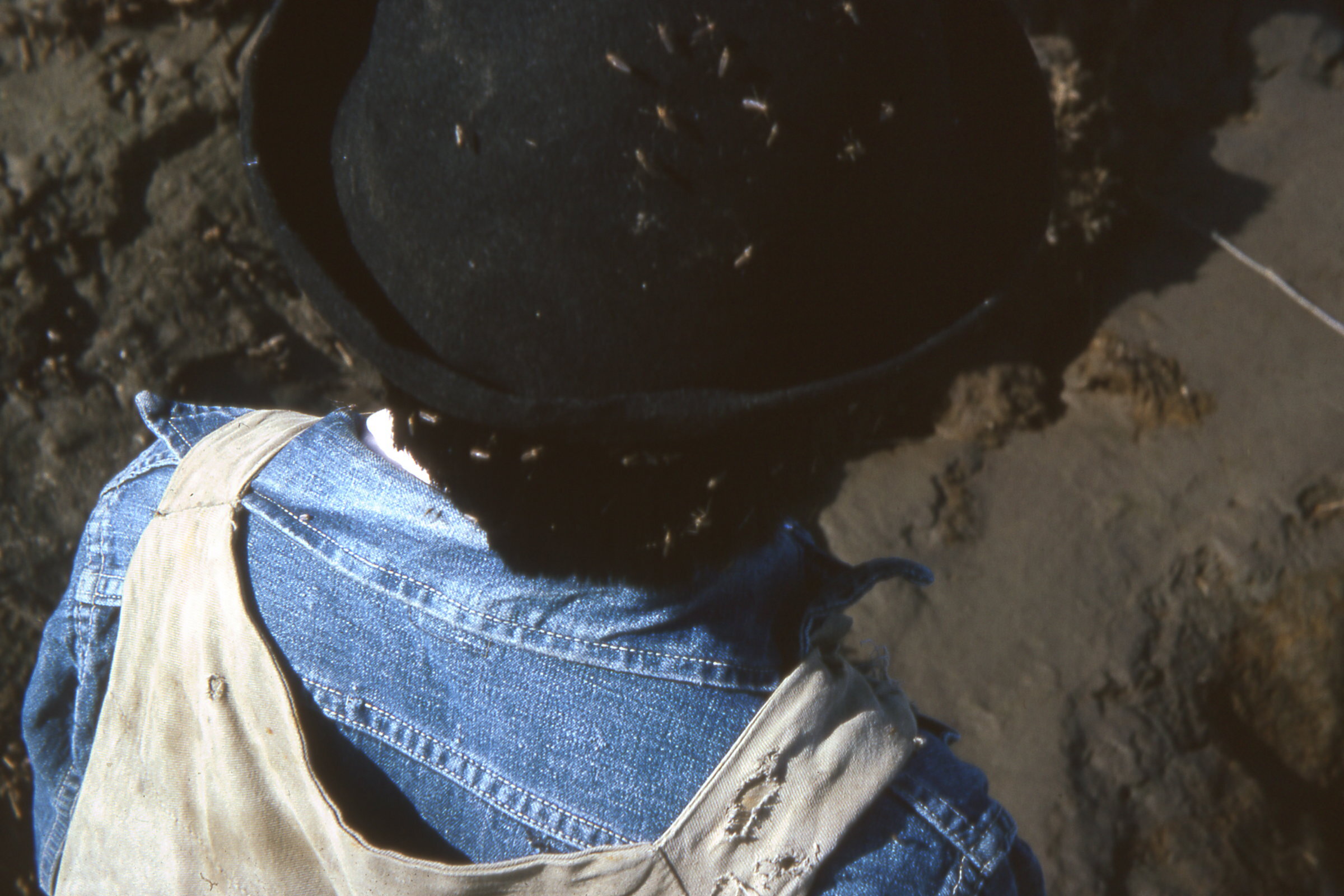 1964 Mosquotes on Steve Sonnyboys hat.jpg