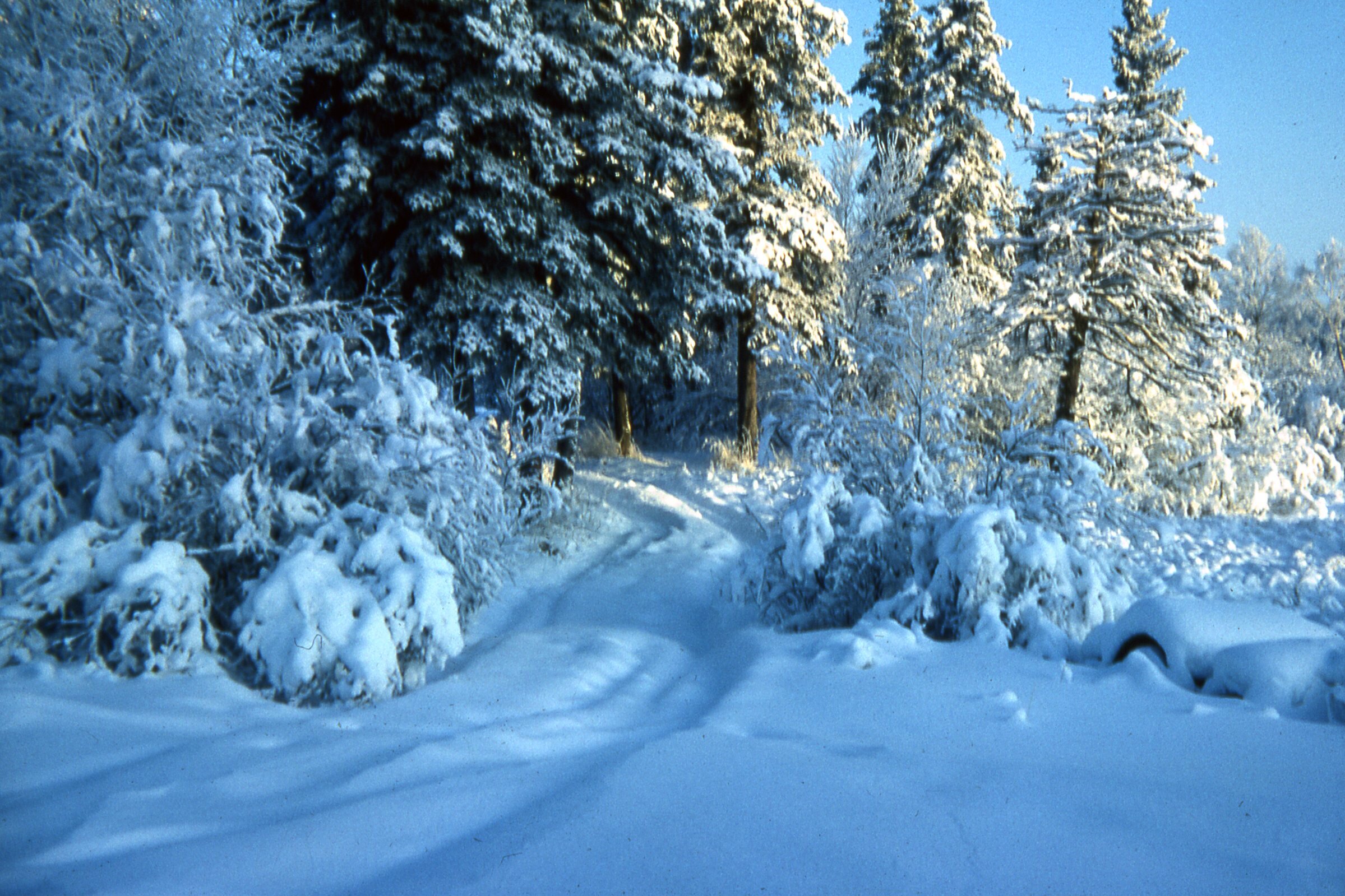 1967 Trail to Youth Camp camp site.jpg