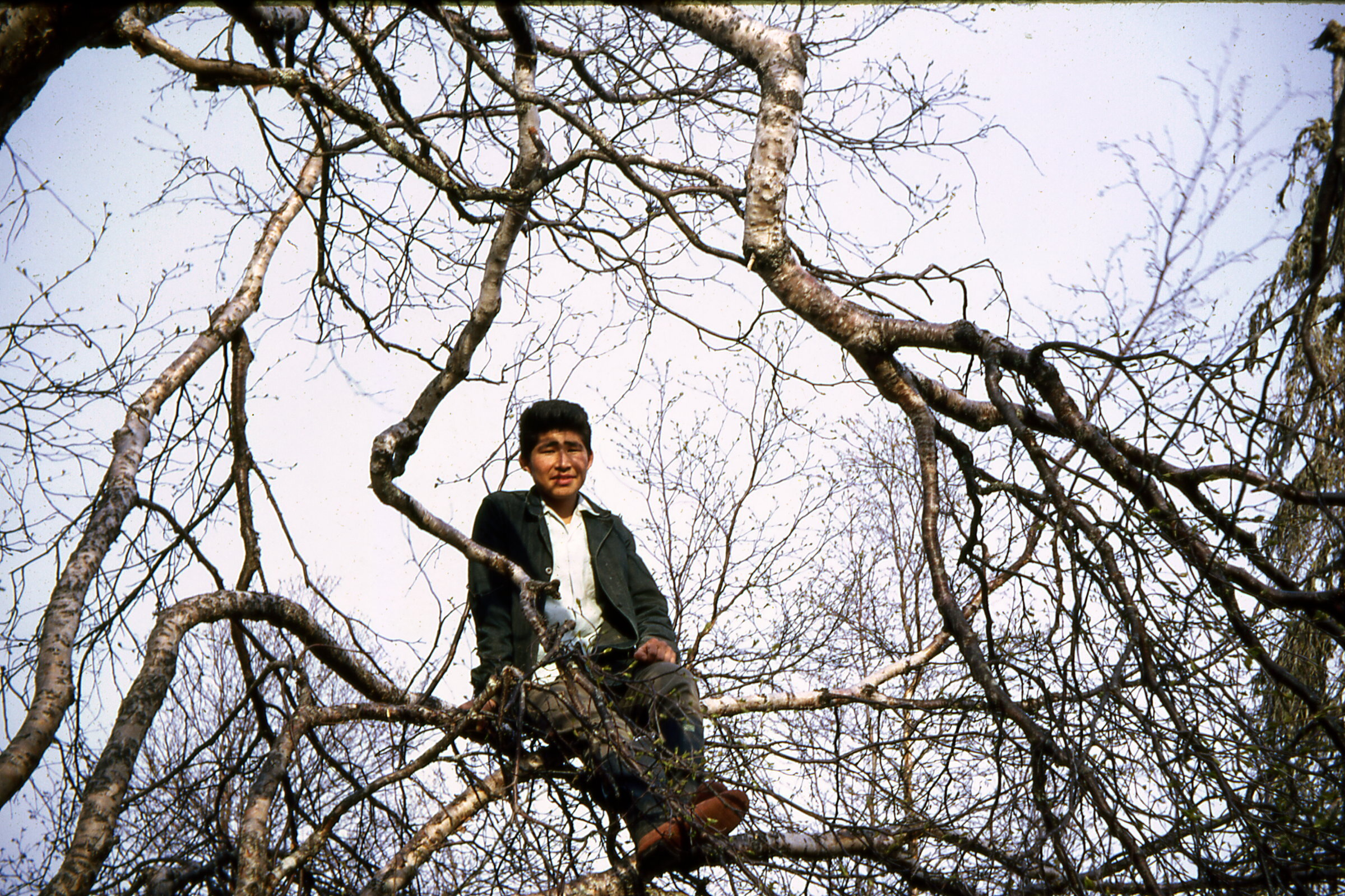 1967 Wassilie Waskey in tree.jpg