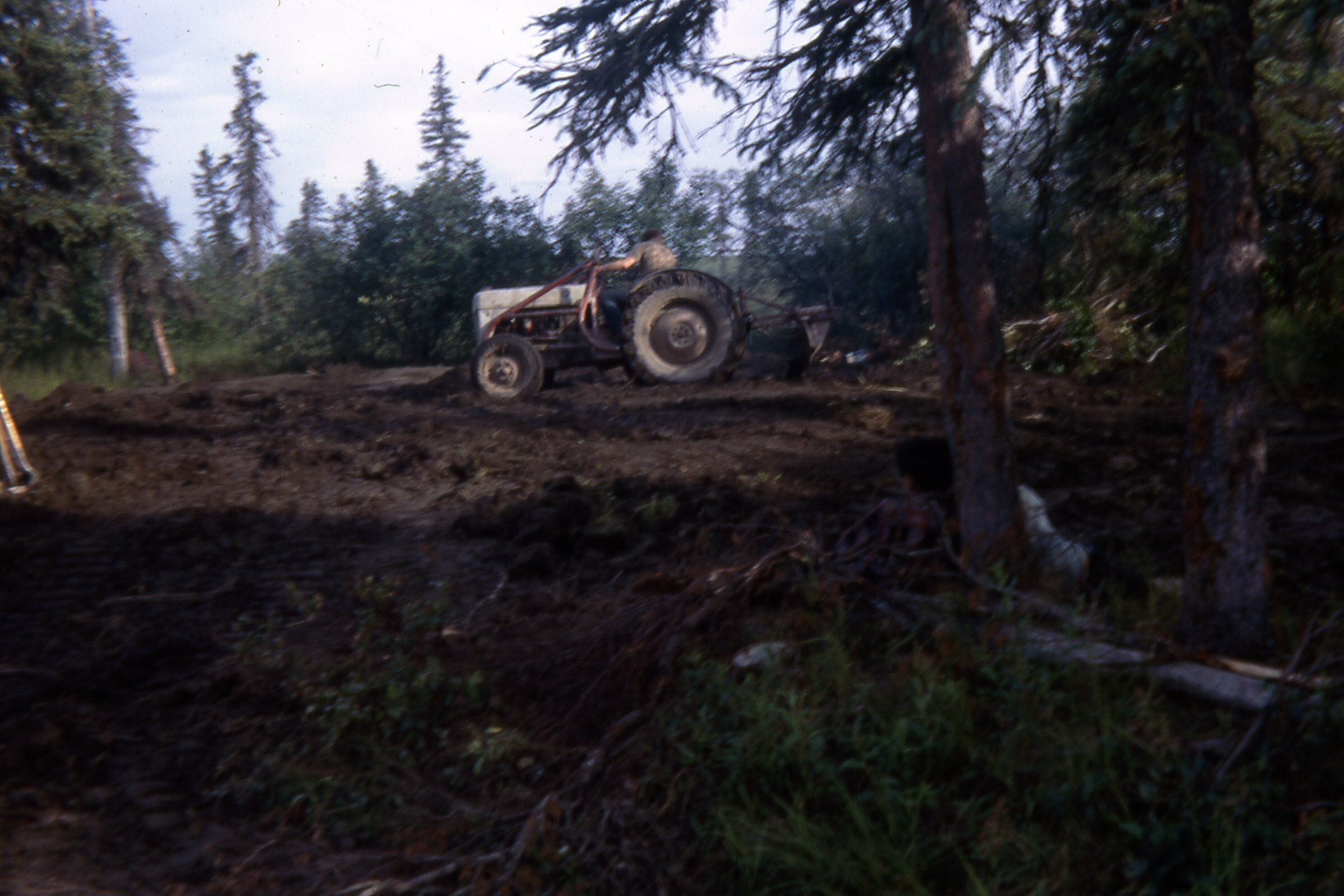 1971 Grading with the tractor.jpg