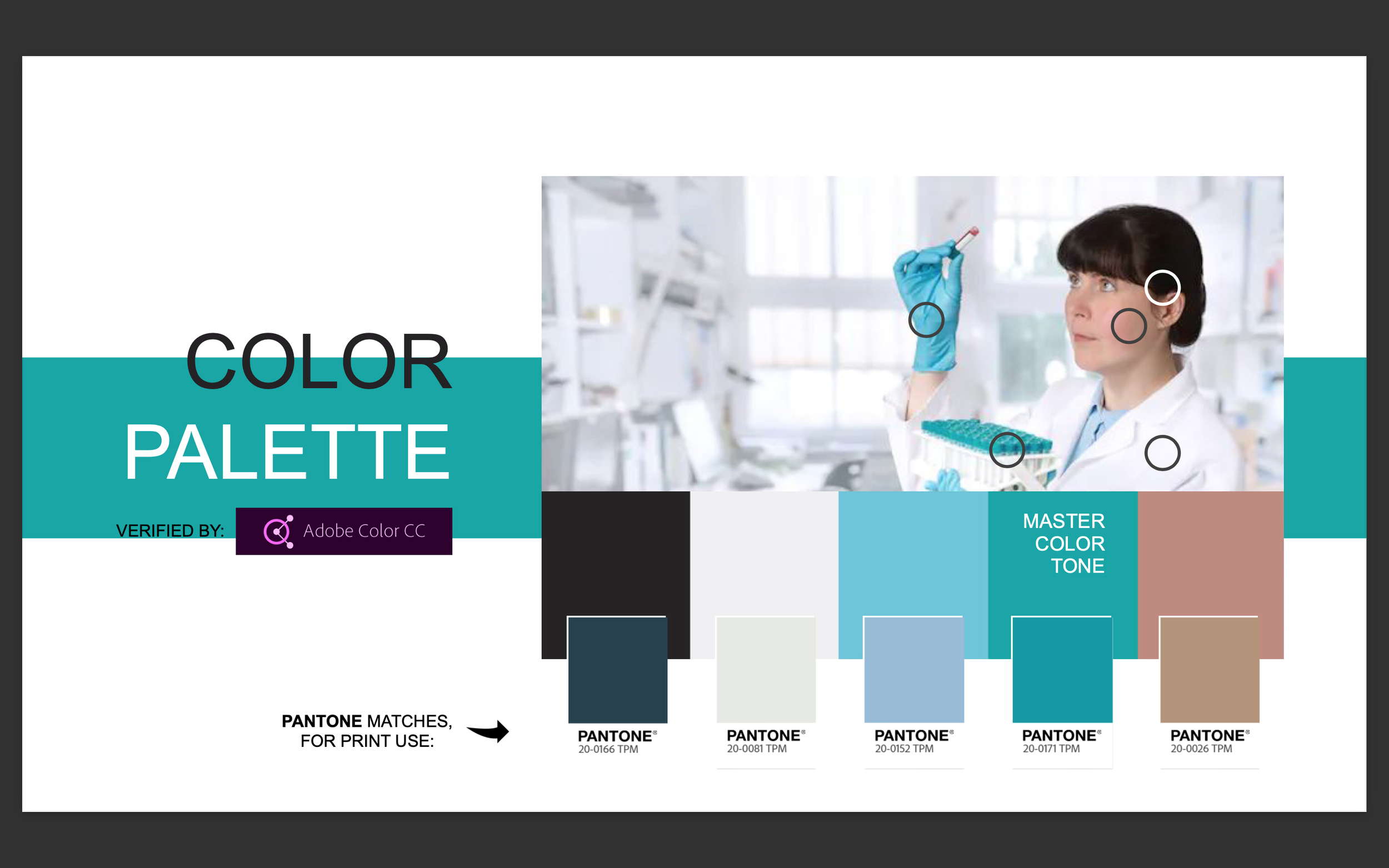 Brand identity 2.png