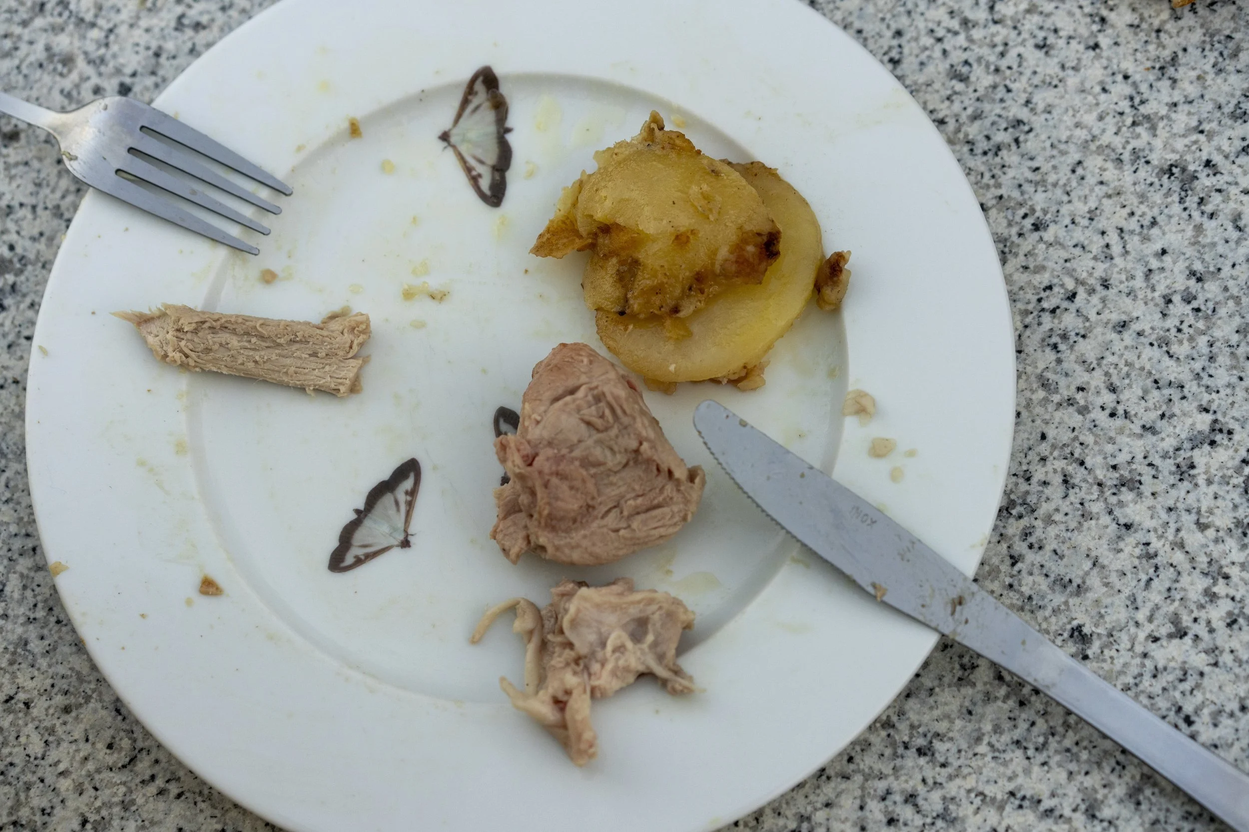 RADICALE1924_PIETER-1347 copy.jpeg