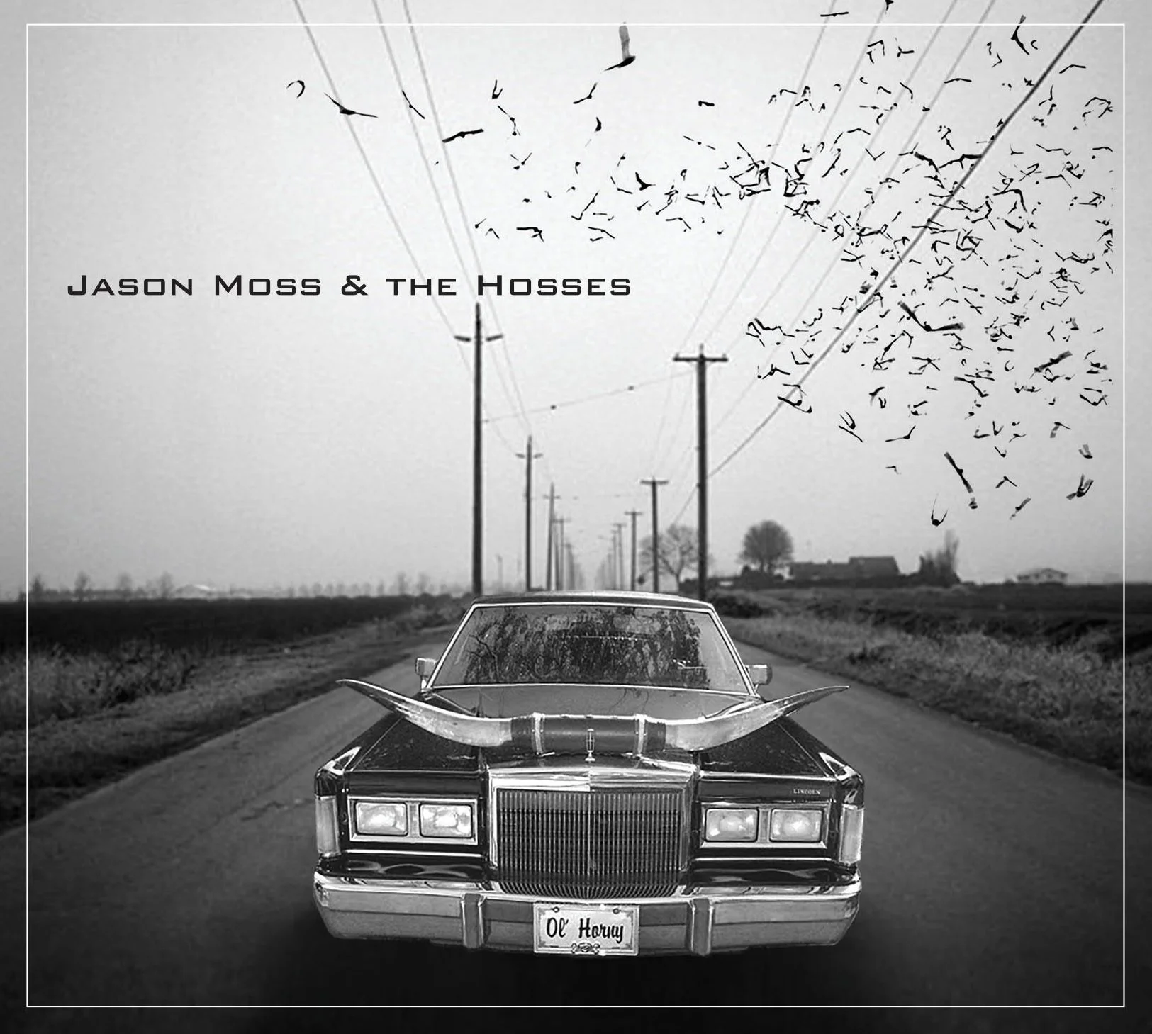 Jason Moss &amp; The Hosses