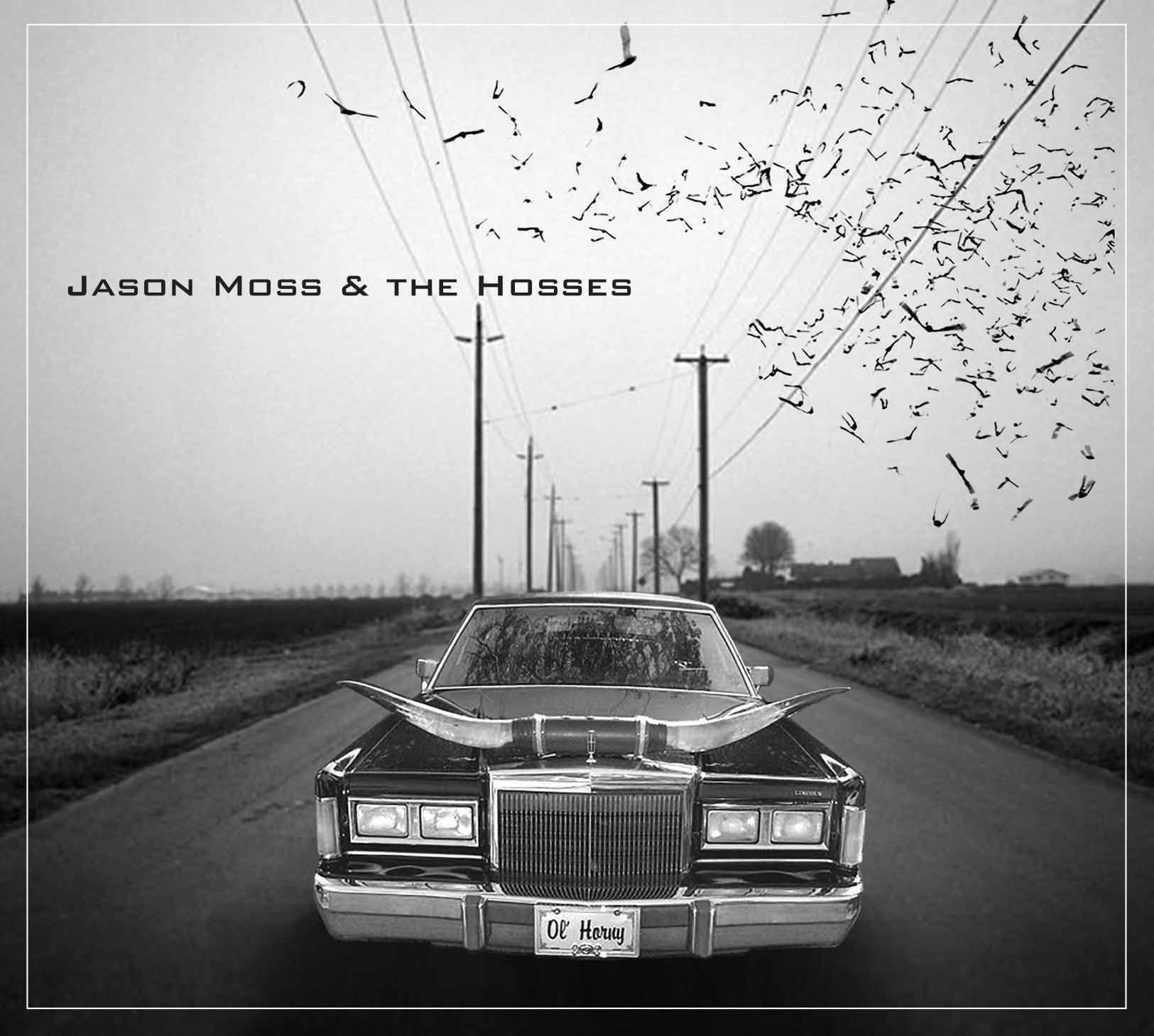Jason Moss and The Hosses