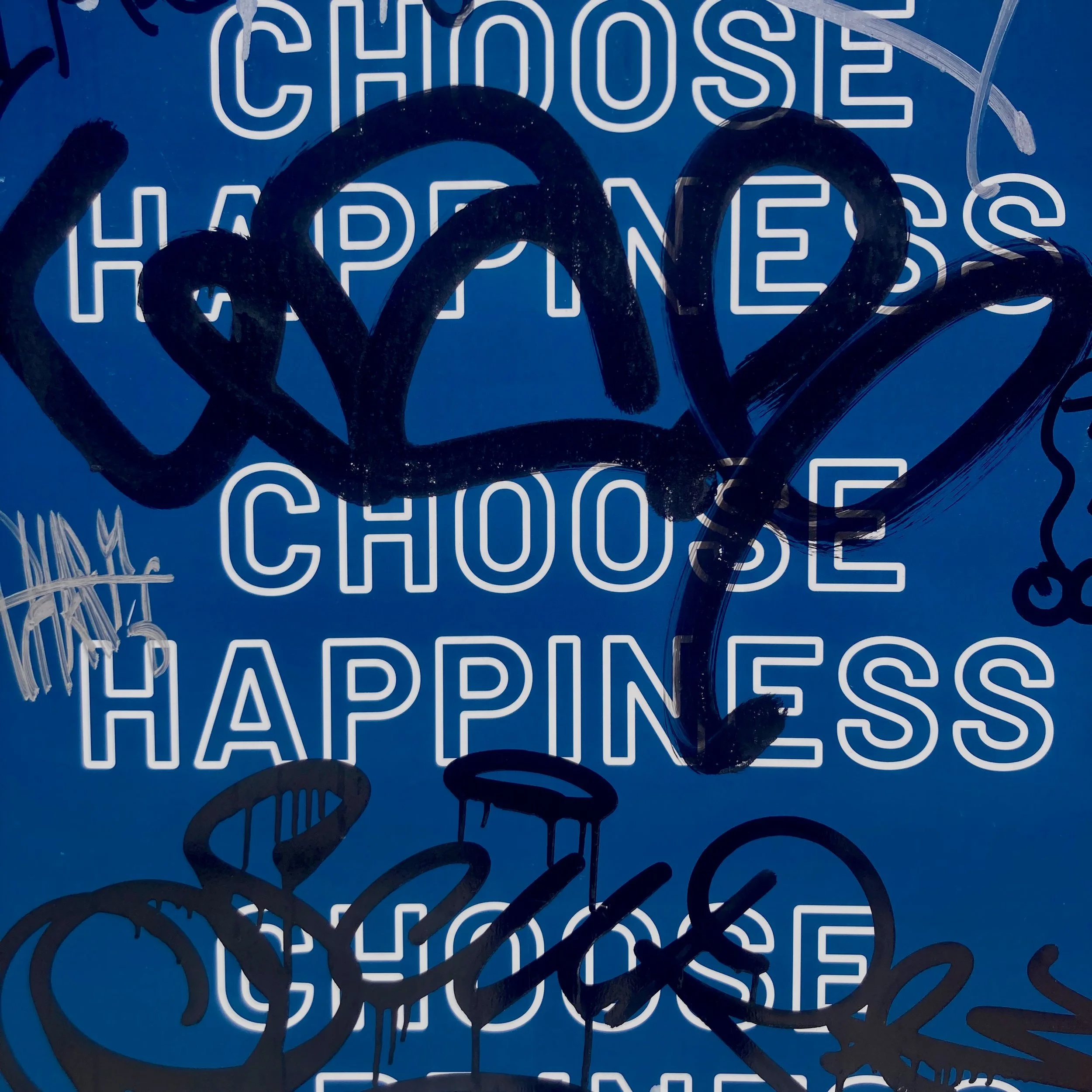 Flak Words Happiness.JPEG