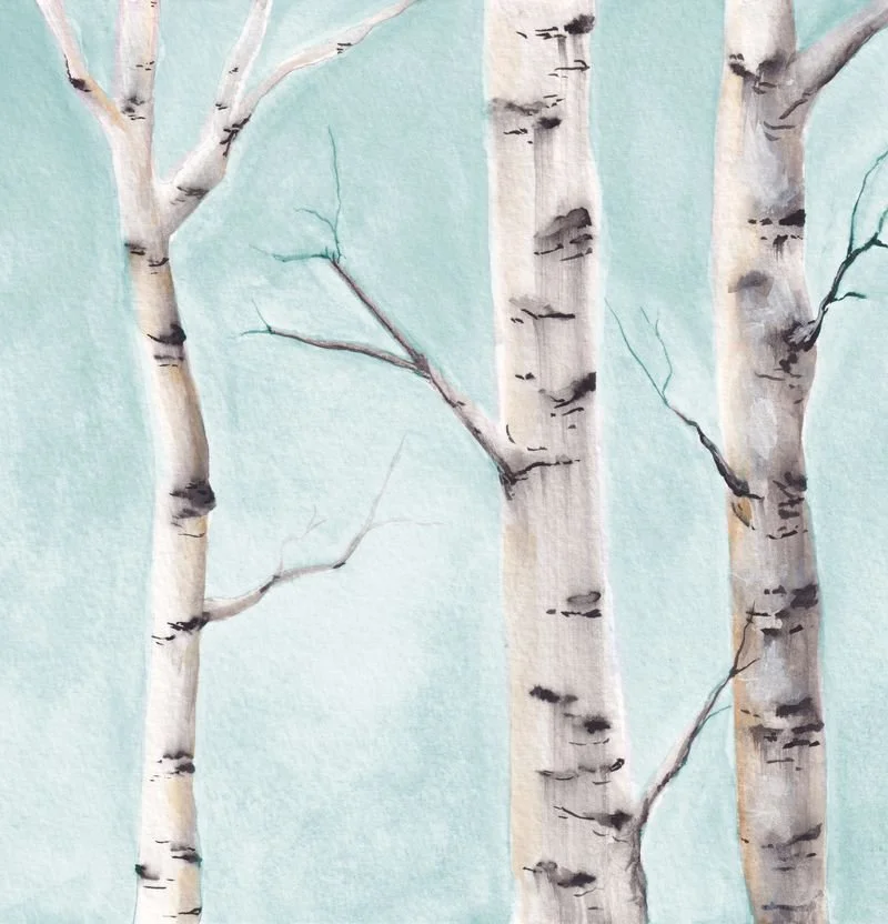 birch.jpeg