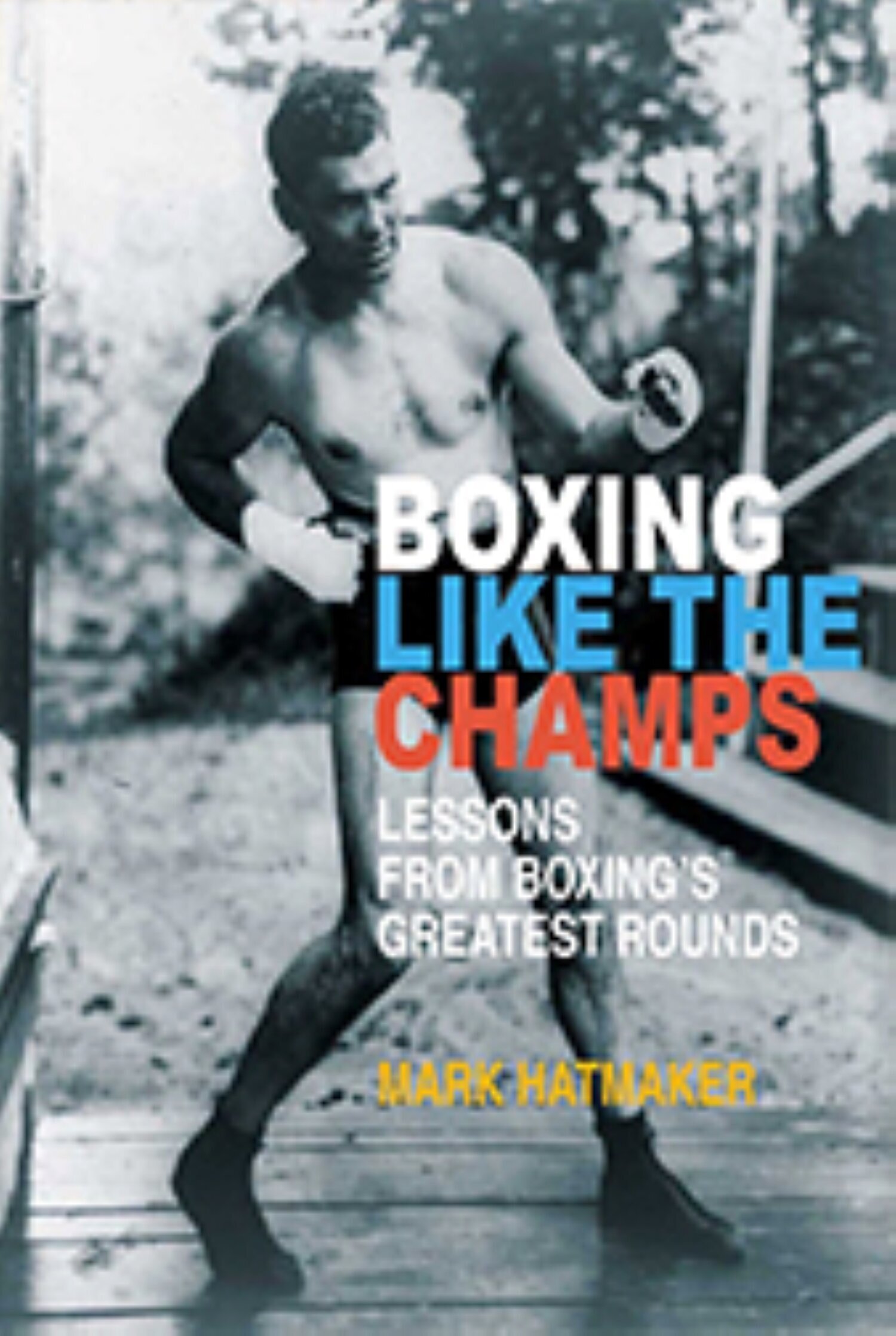 Boxing_Like_the_Champstest.jpg