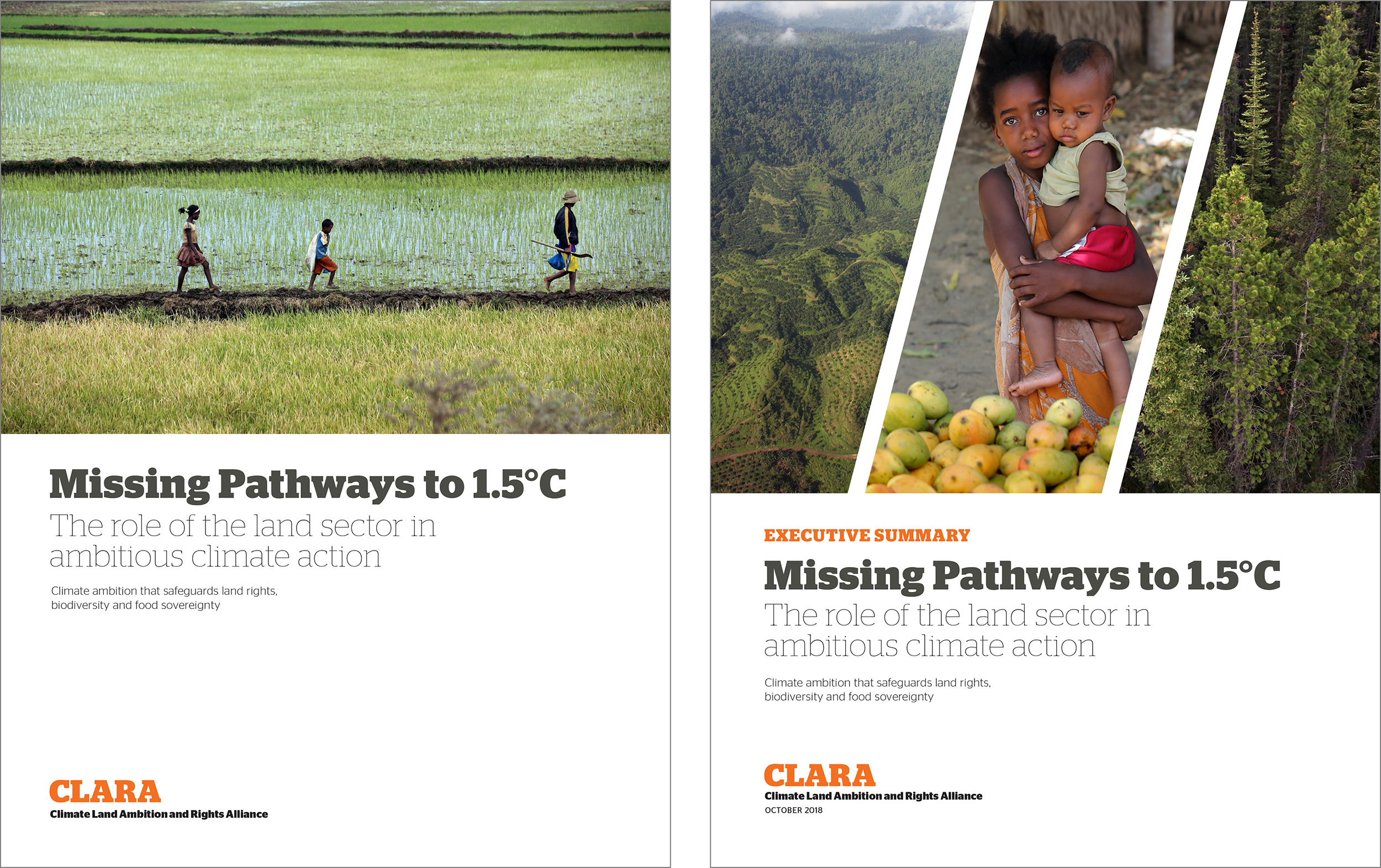 Missing Pathways covers 2.png