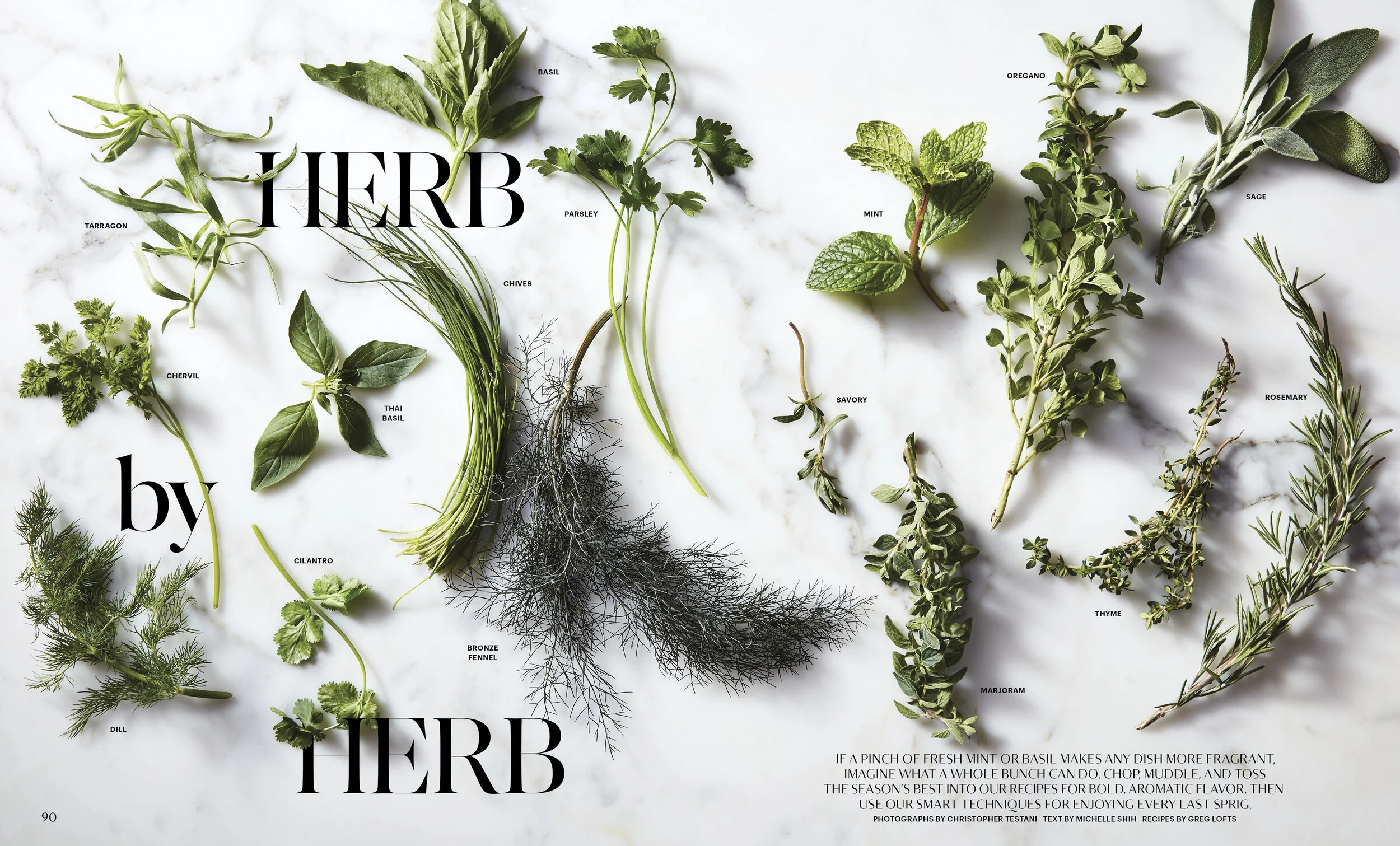 Christopher Testani, Greg Lofts, Tanya Graff, Brown Bird Design