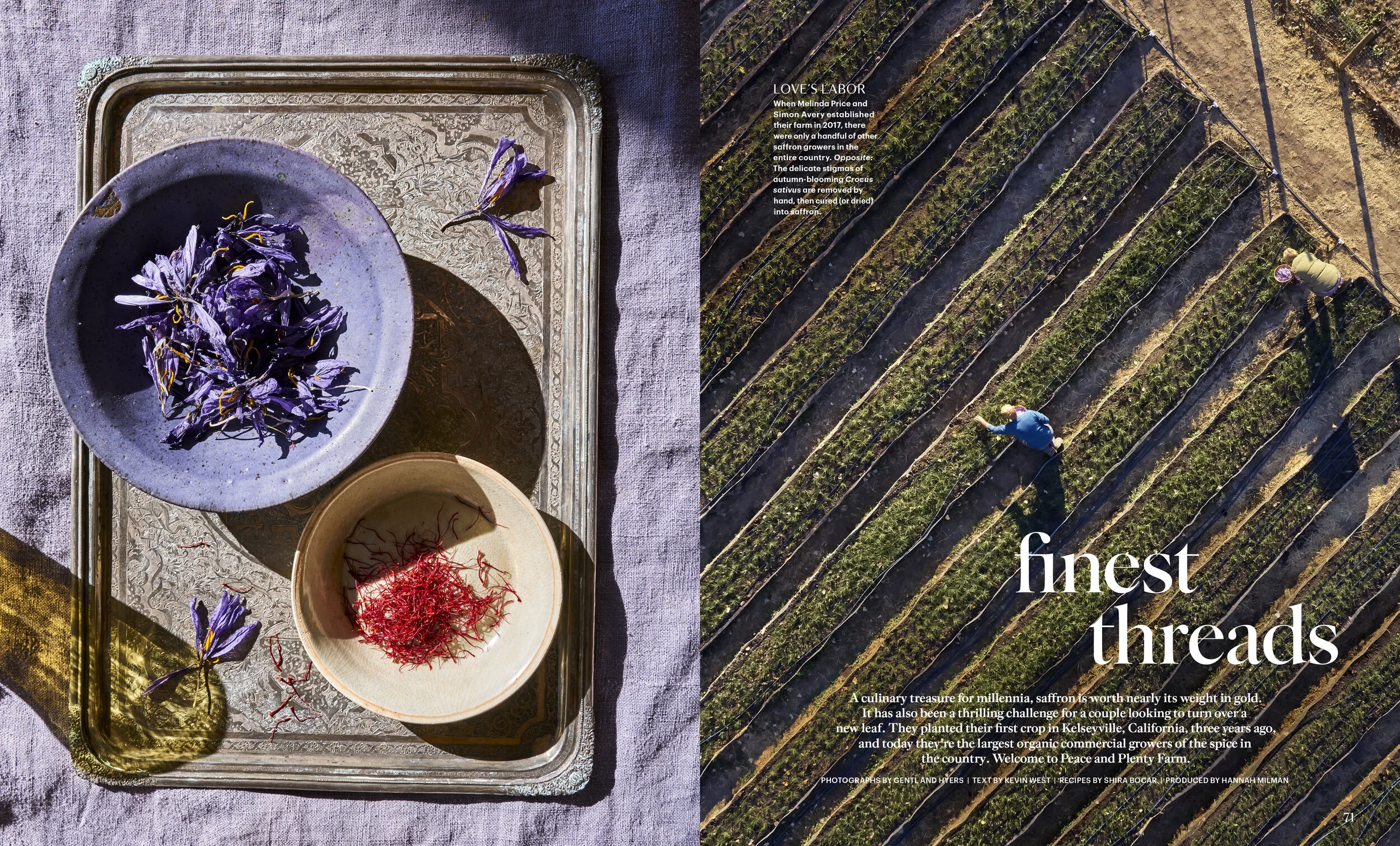 Gentl and Hyers, Frances Boswell, Ayesha Patel